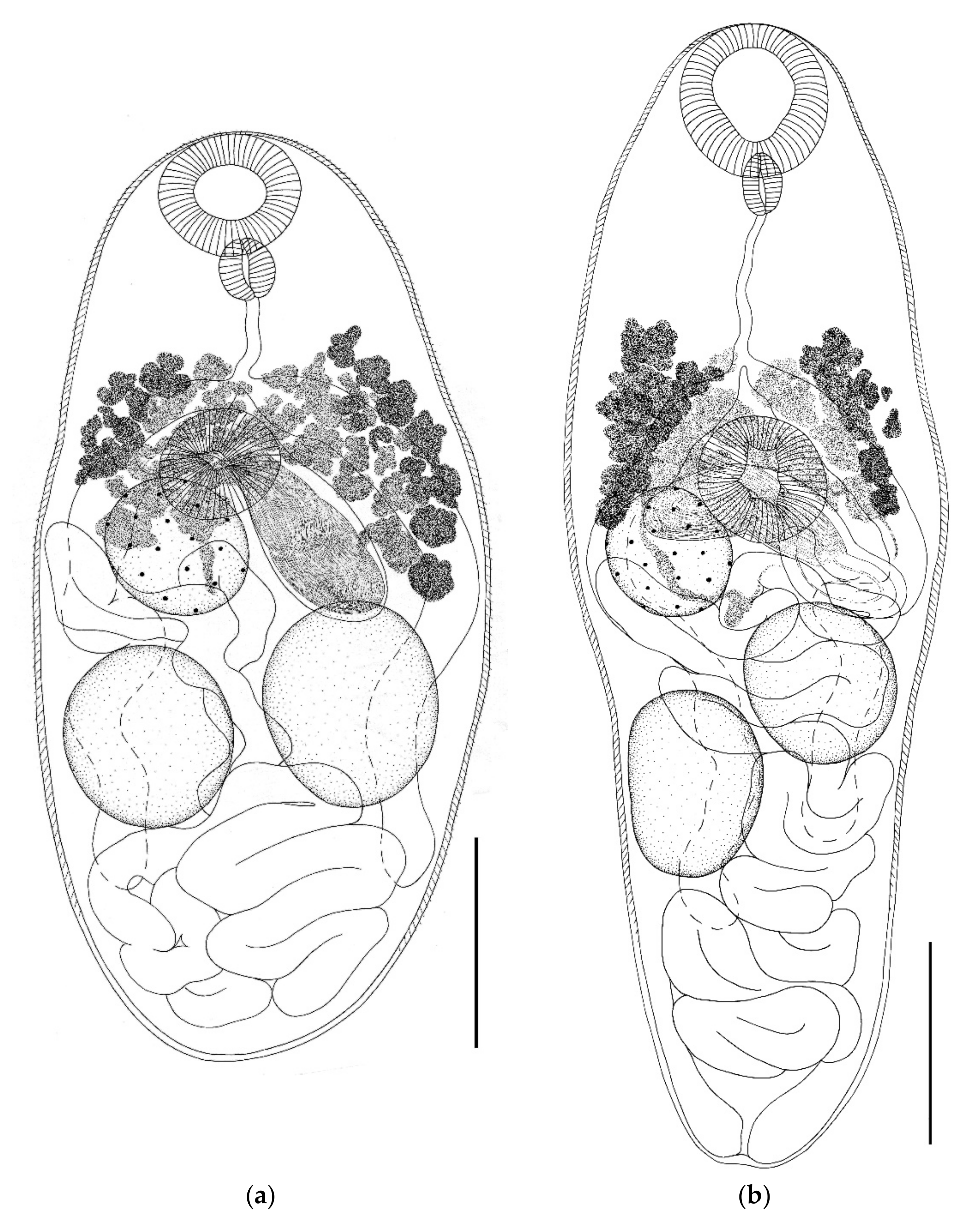 Biology 11 00878 g003a