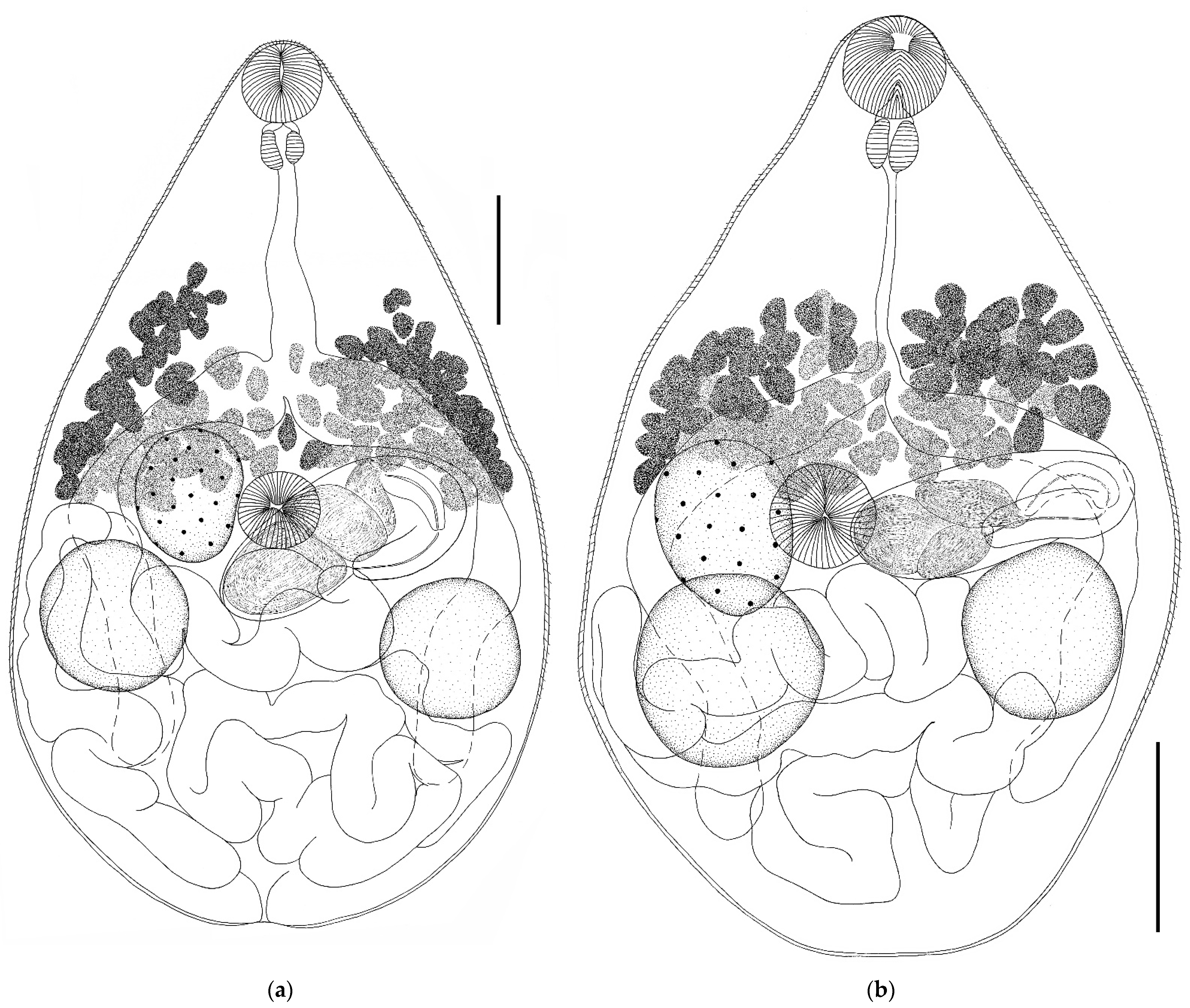 Biology 11 00878 g005a