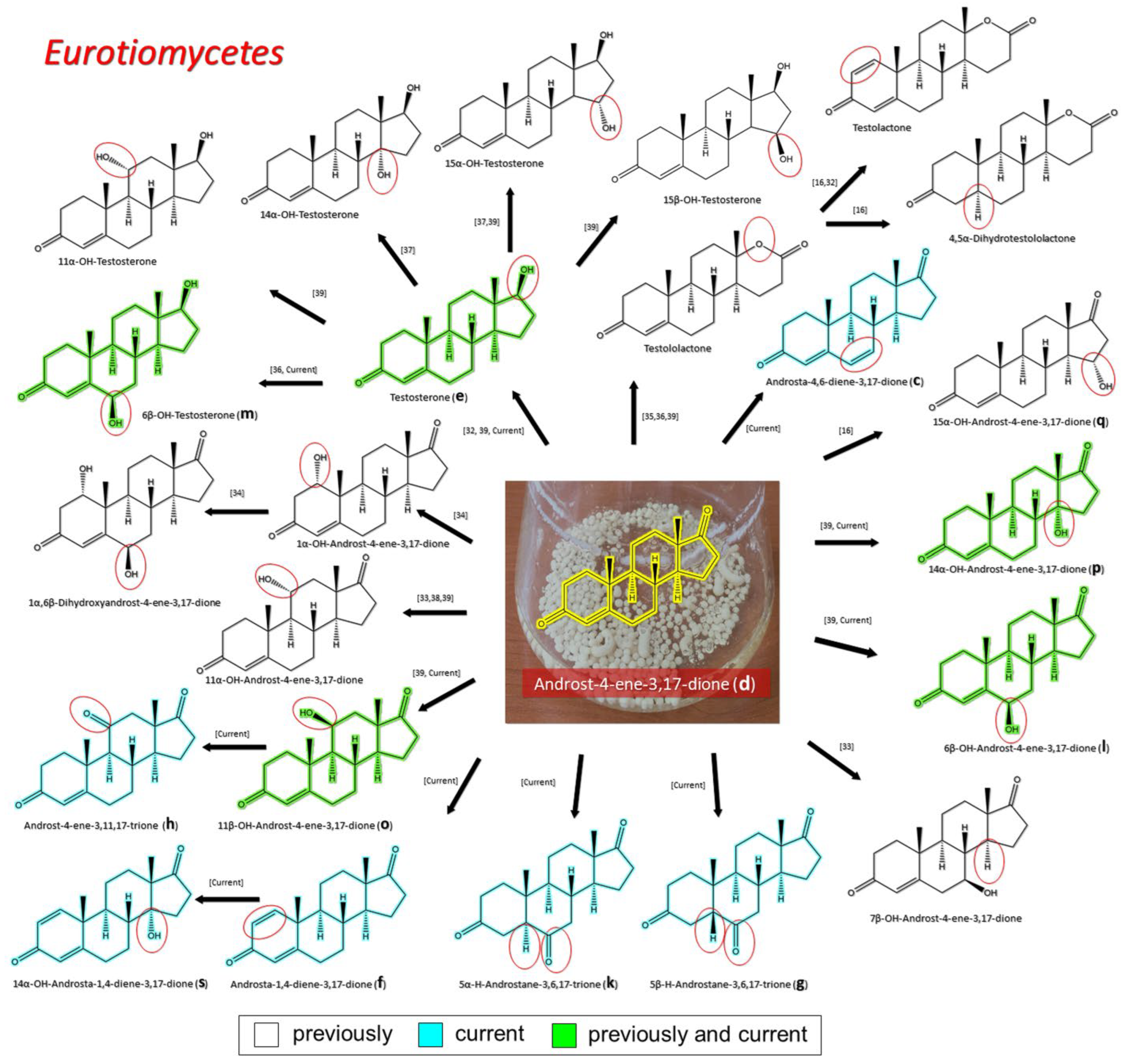 Biology 11 00883 g004