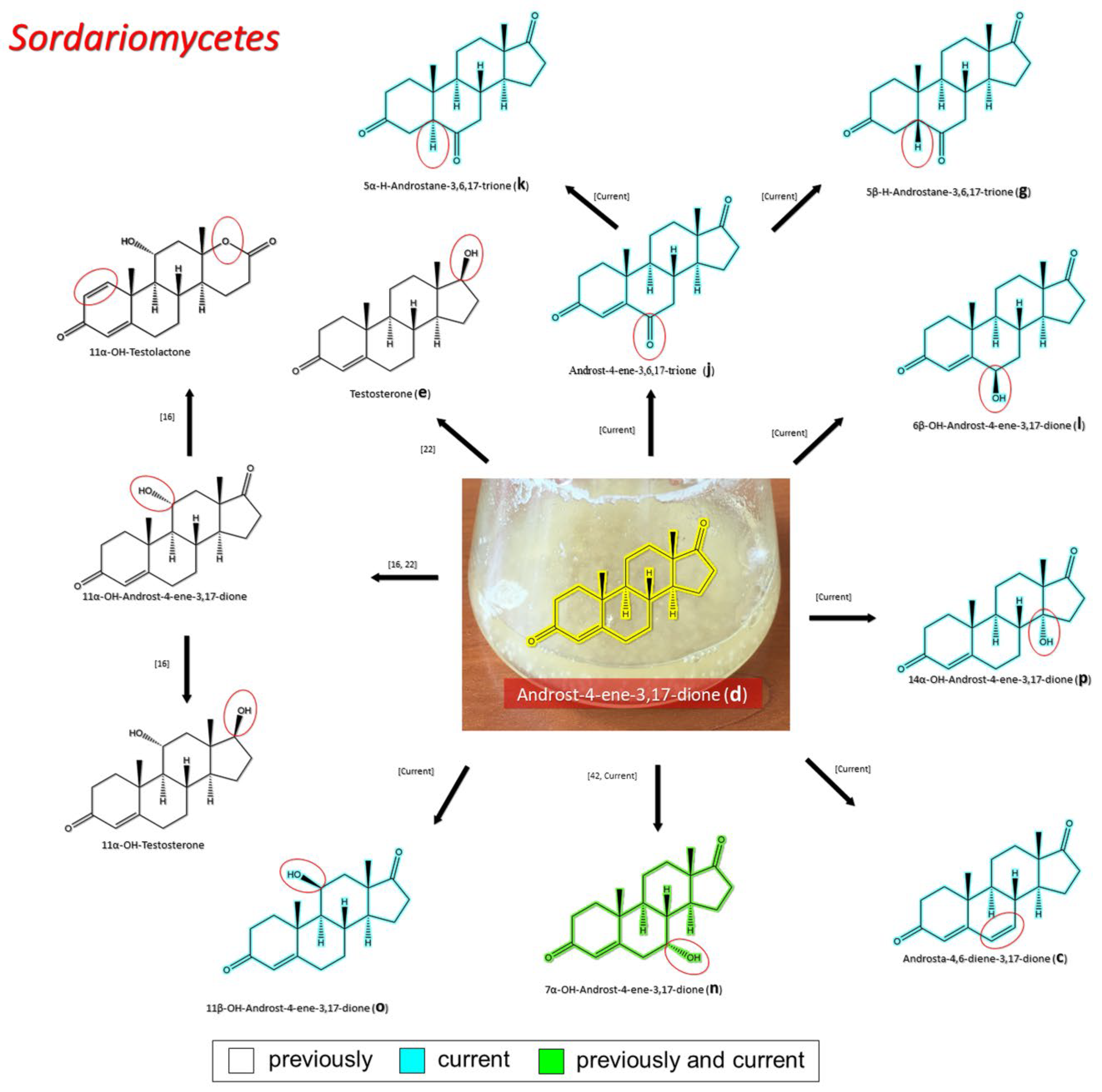 Biology 11 00883 g006