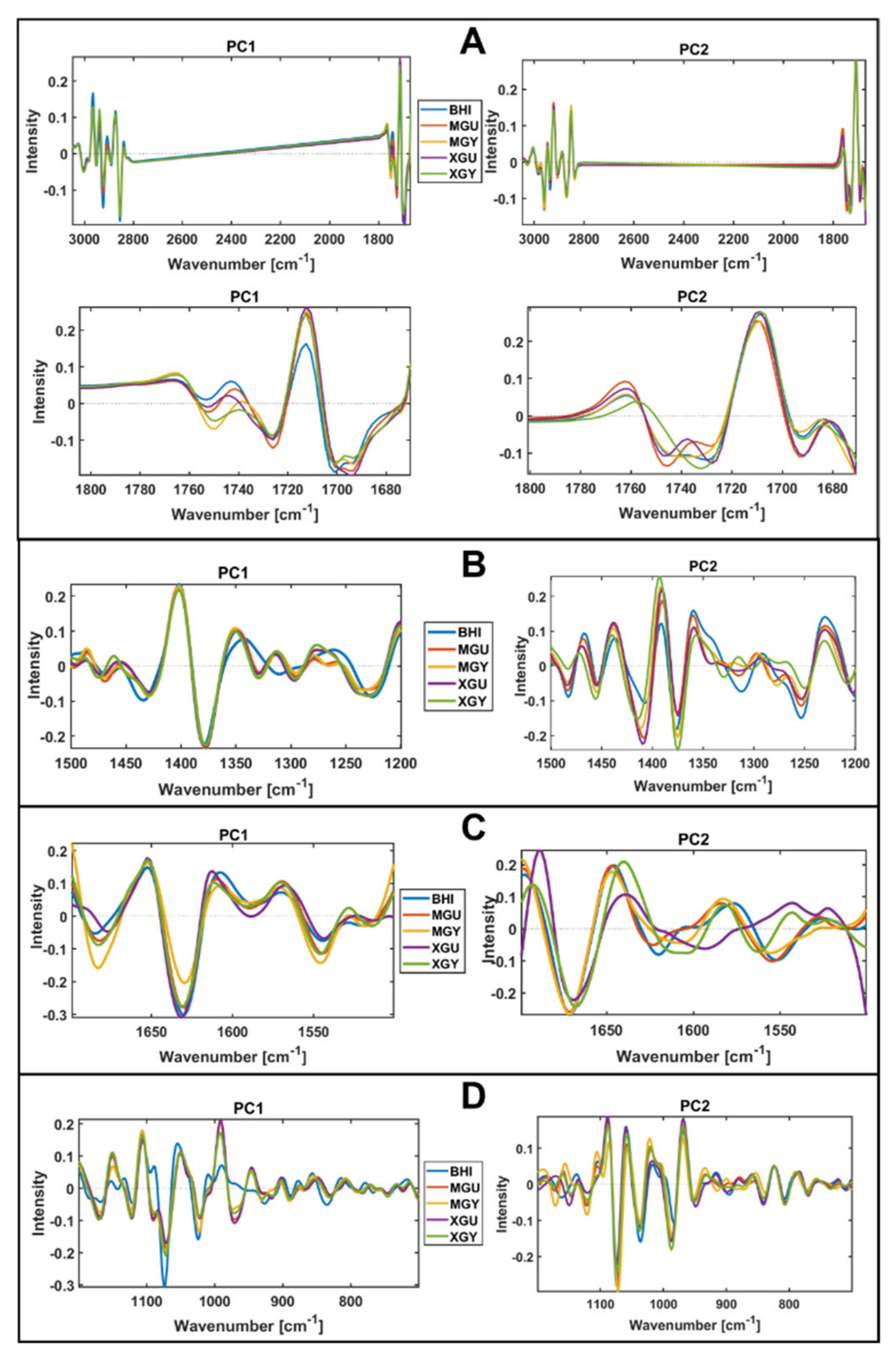 Biology 11 00890 g008