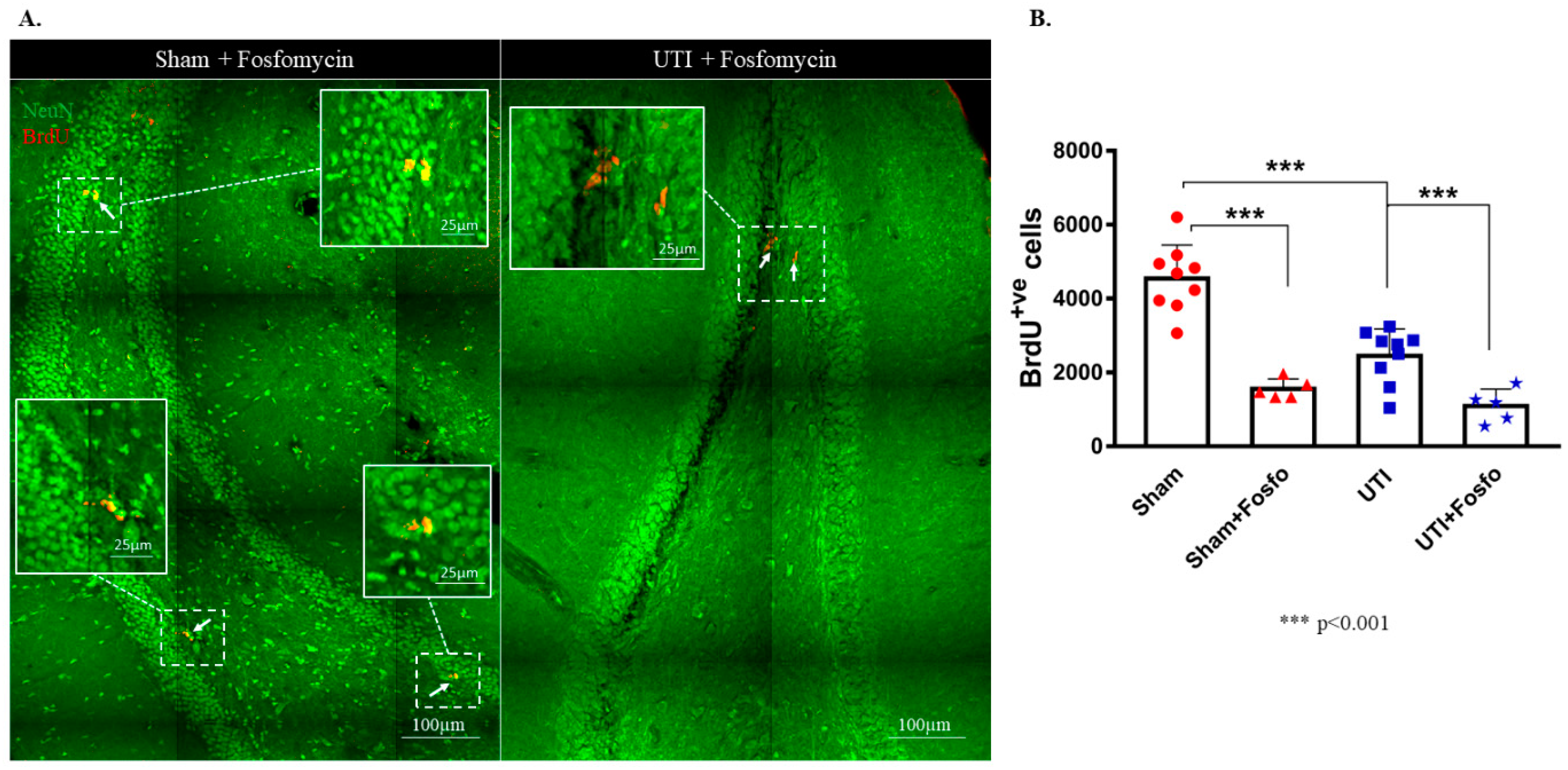 Biology 11 00891 g007