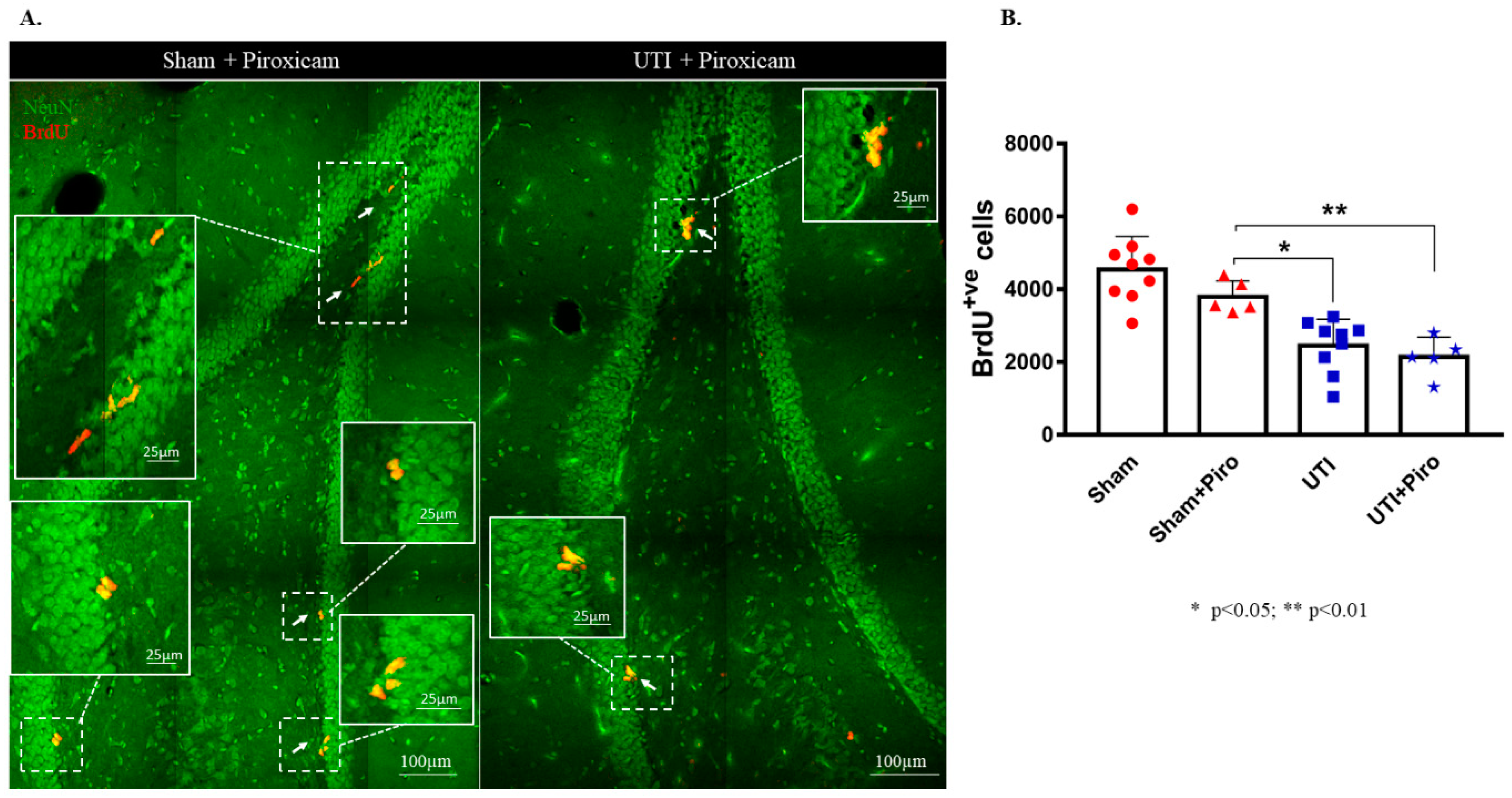 Biology 11 00891 g008