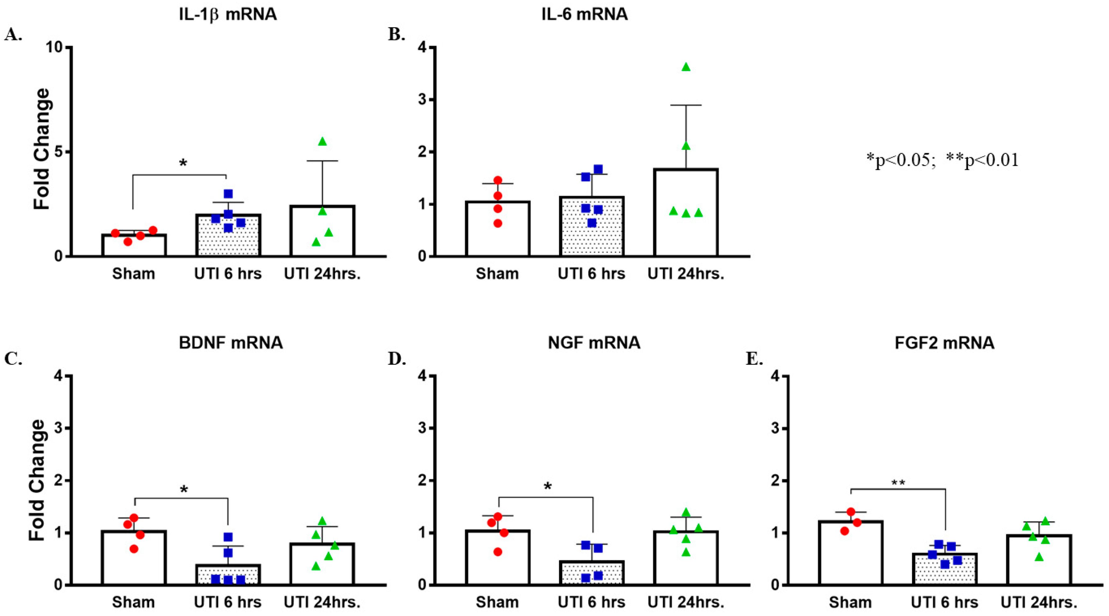 Biology 11 00891 g009