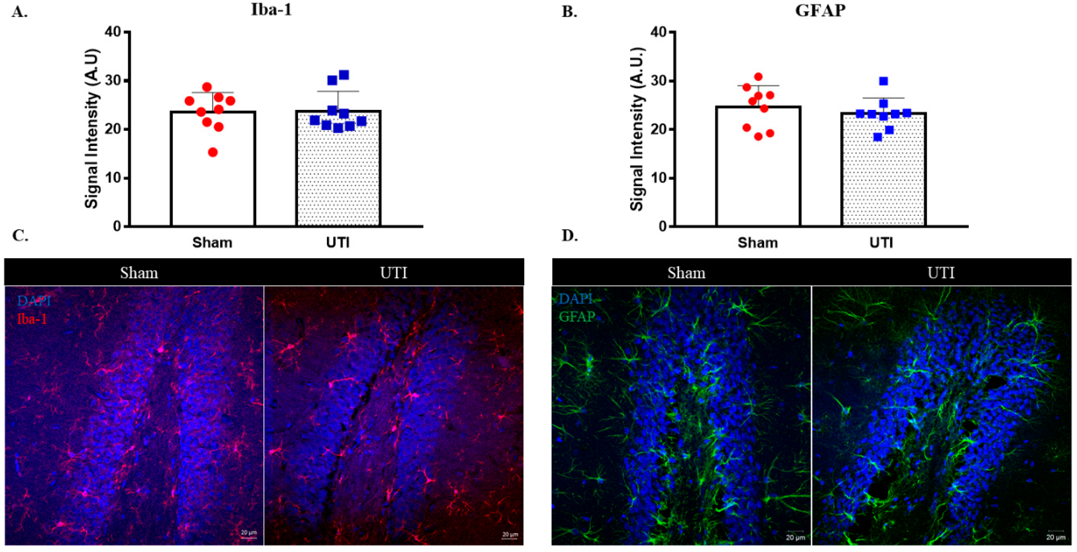 Biology 11 00891 g010