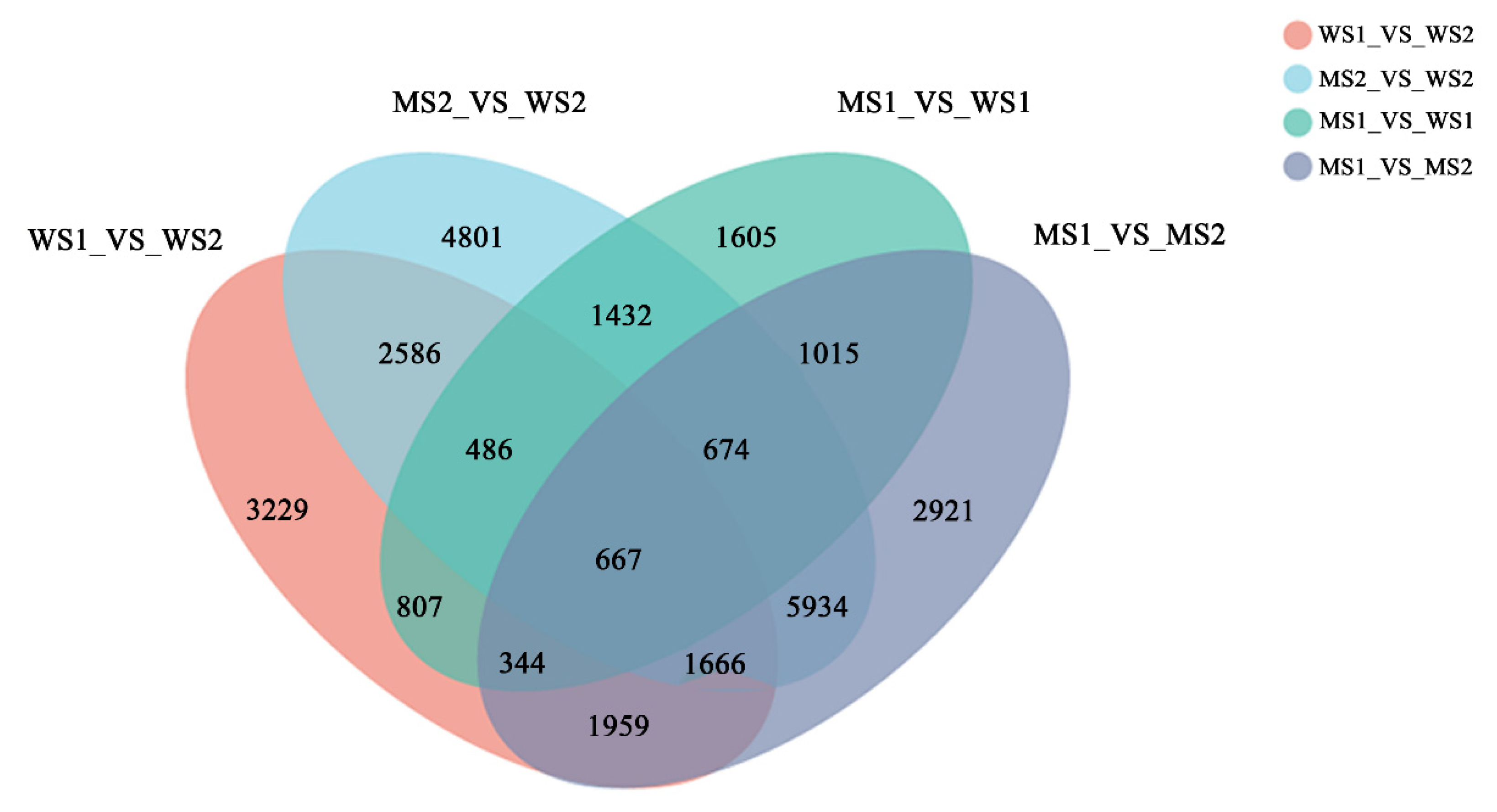 Biology 11 00904 g004