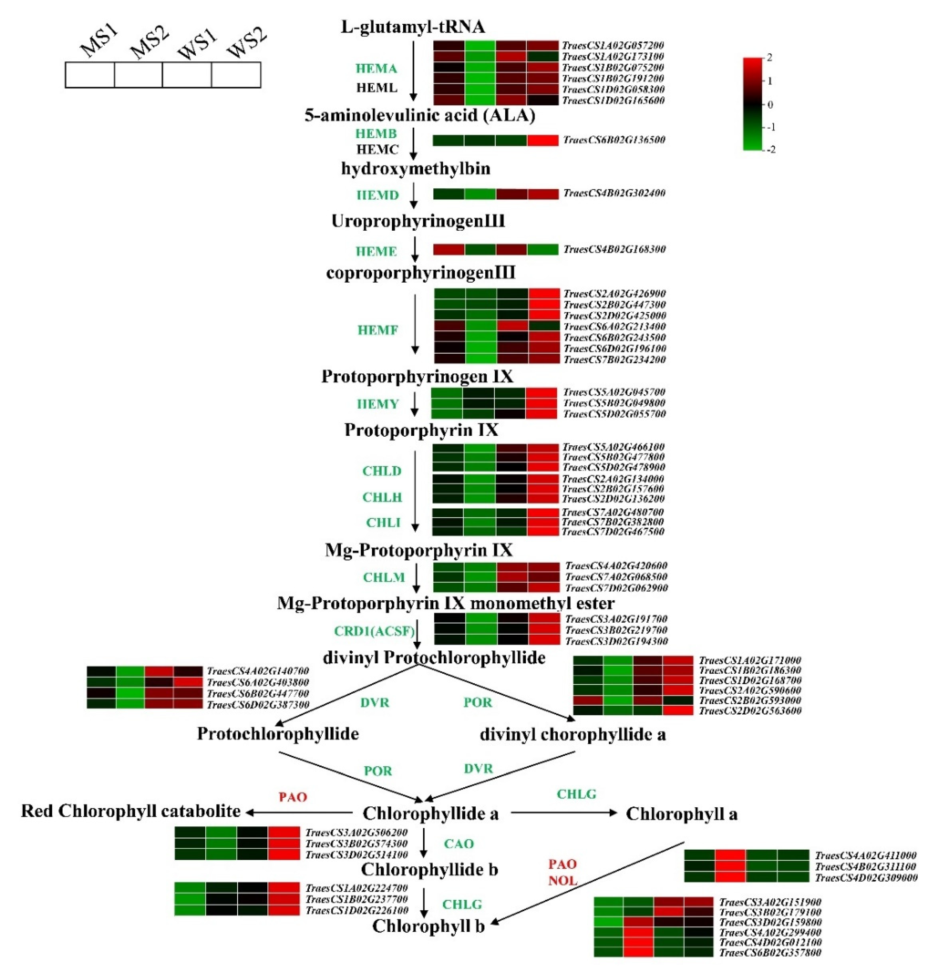 Biology 11 00904 g005