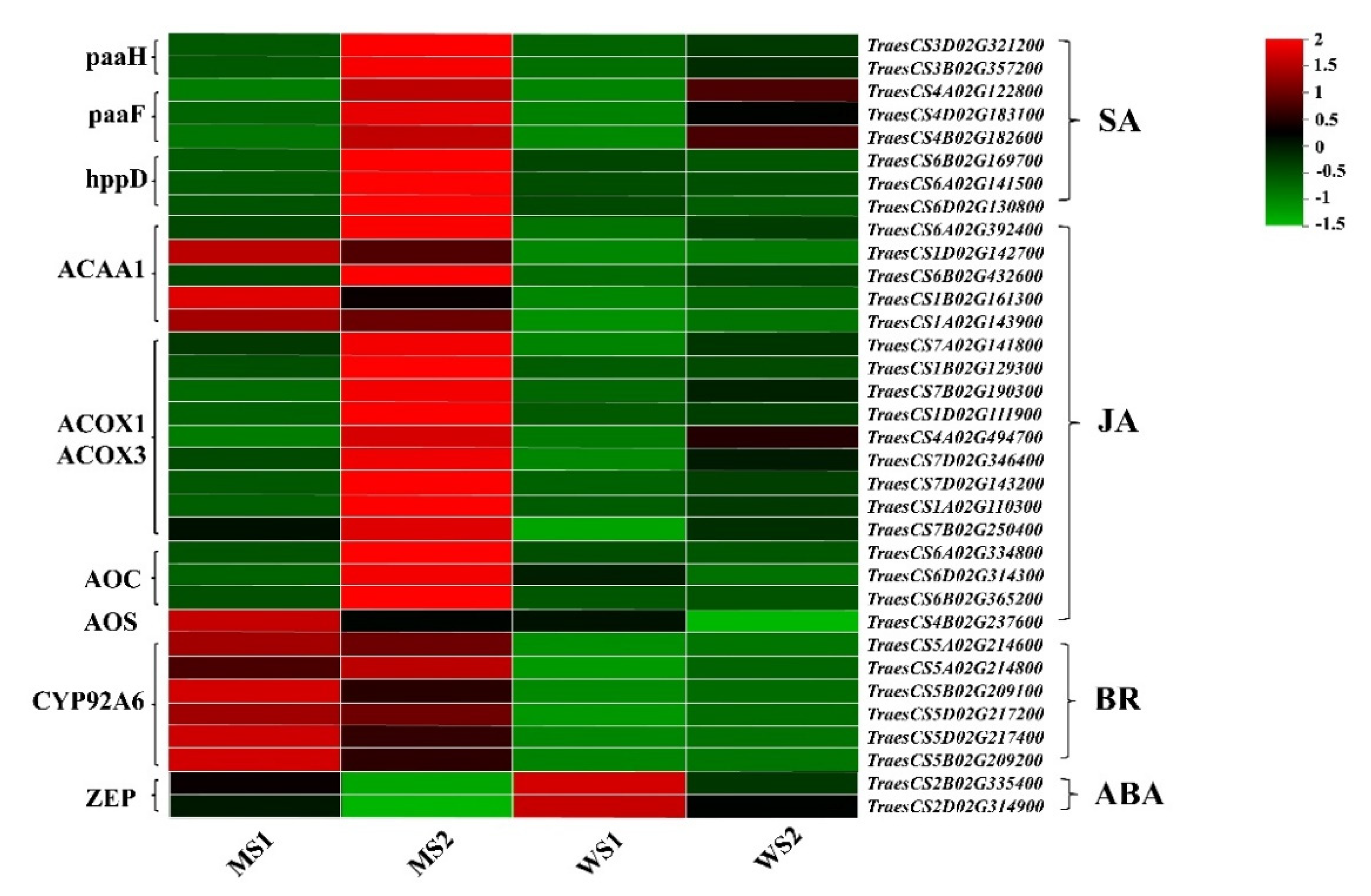 Biology 11 00904 g007