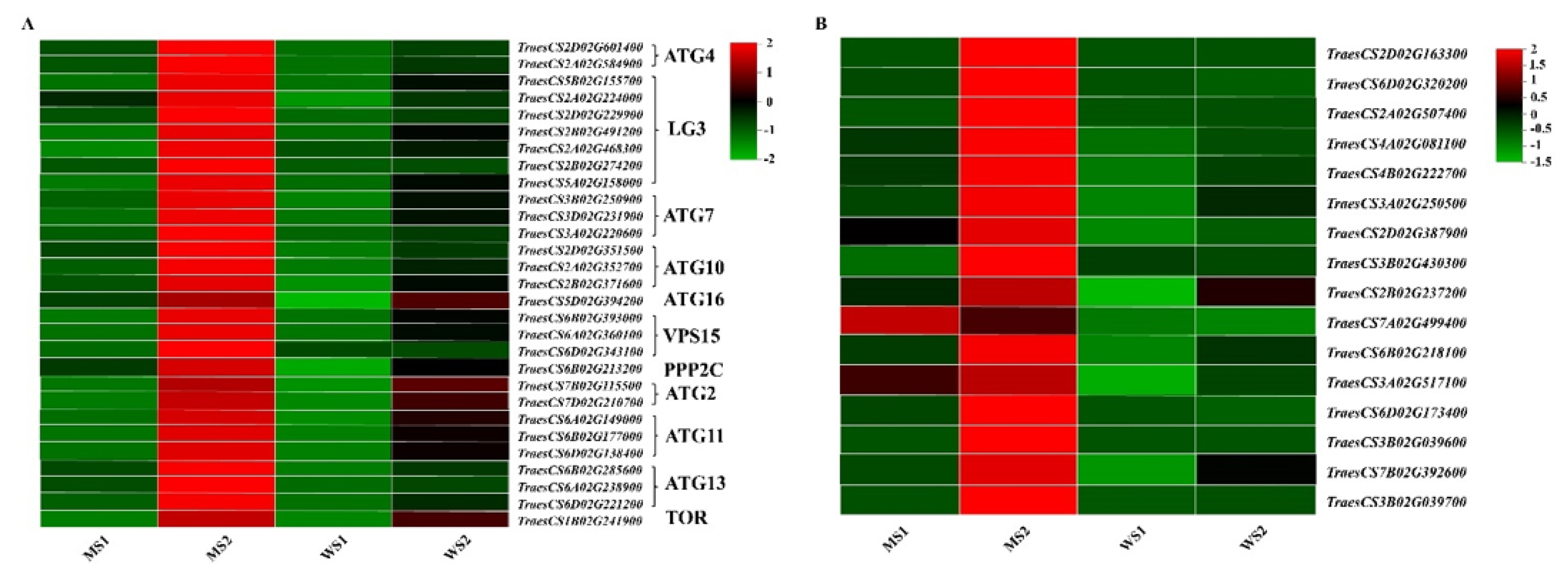 Biology 11 00904 g008