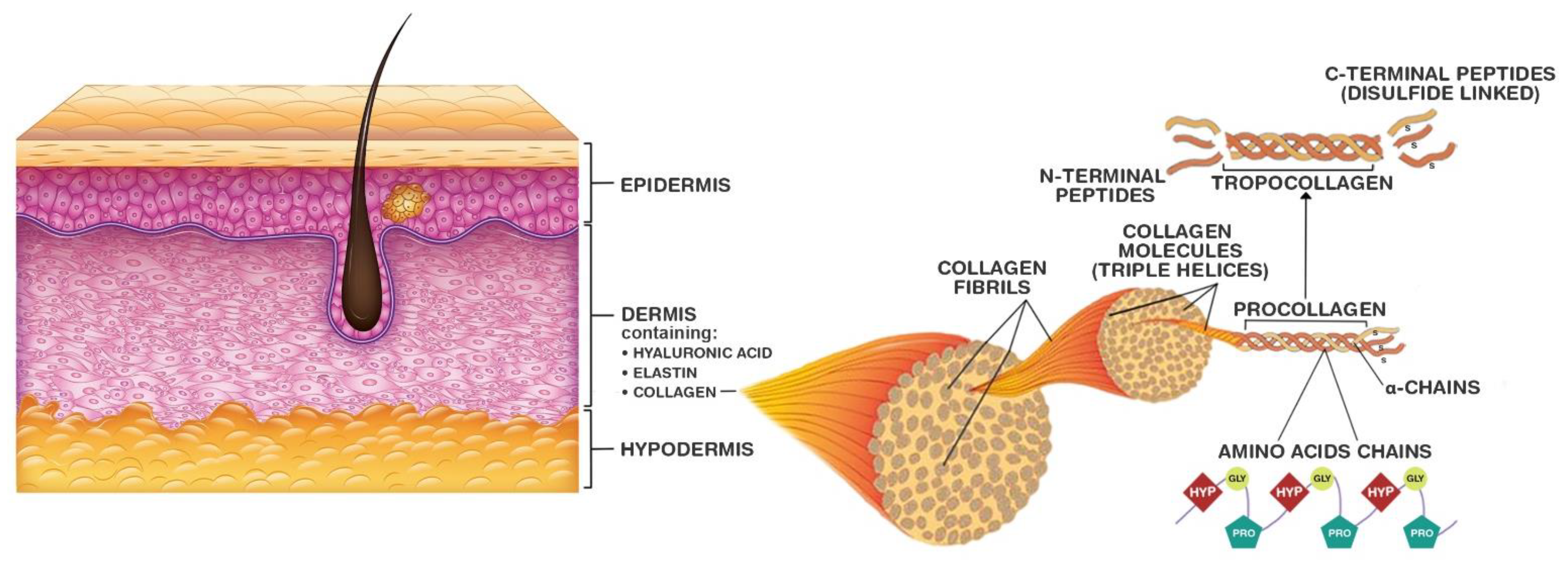 Biology 11 00905 g002