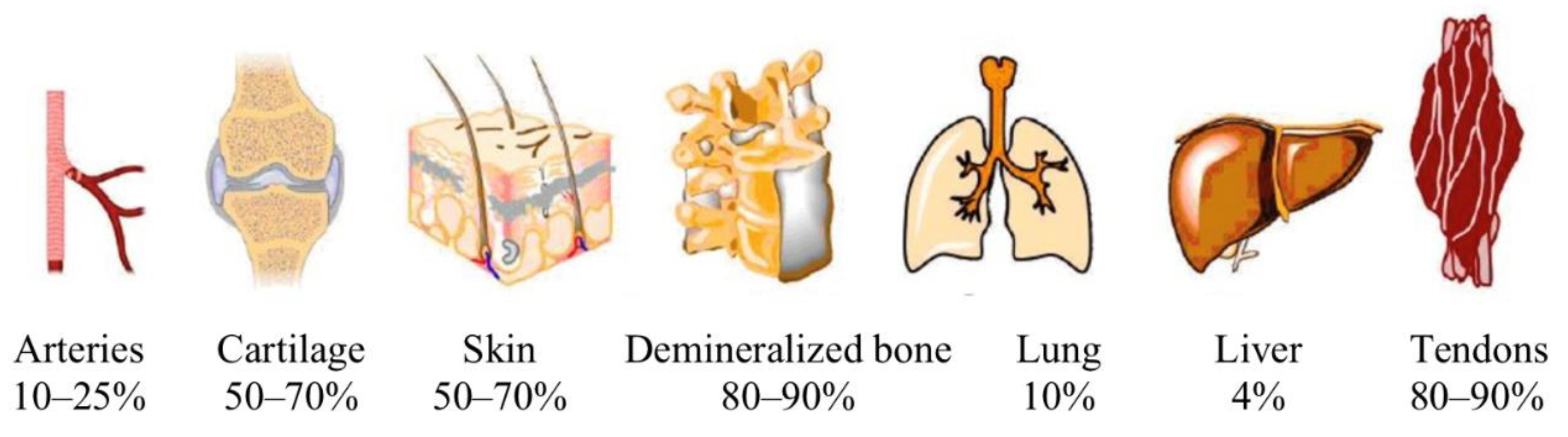 Biology 11 00905 g003