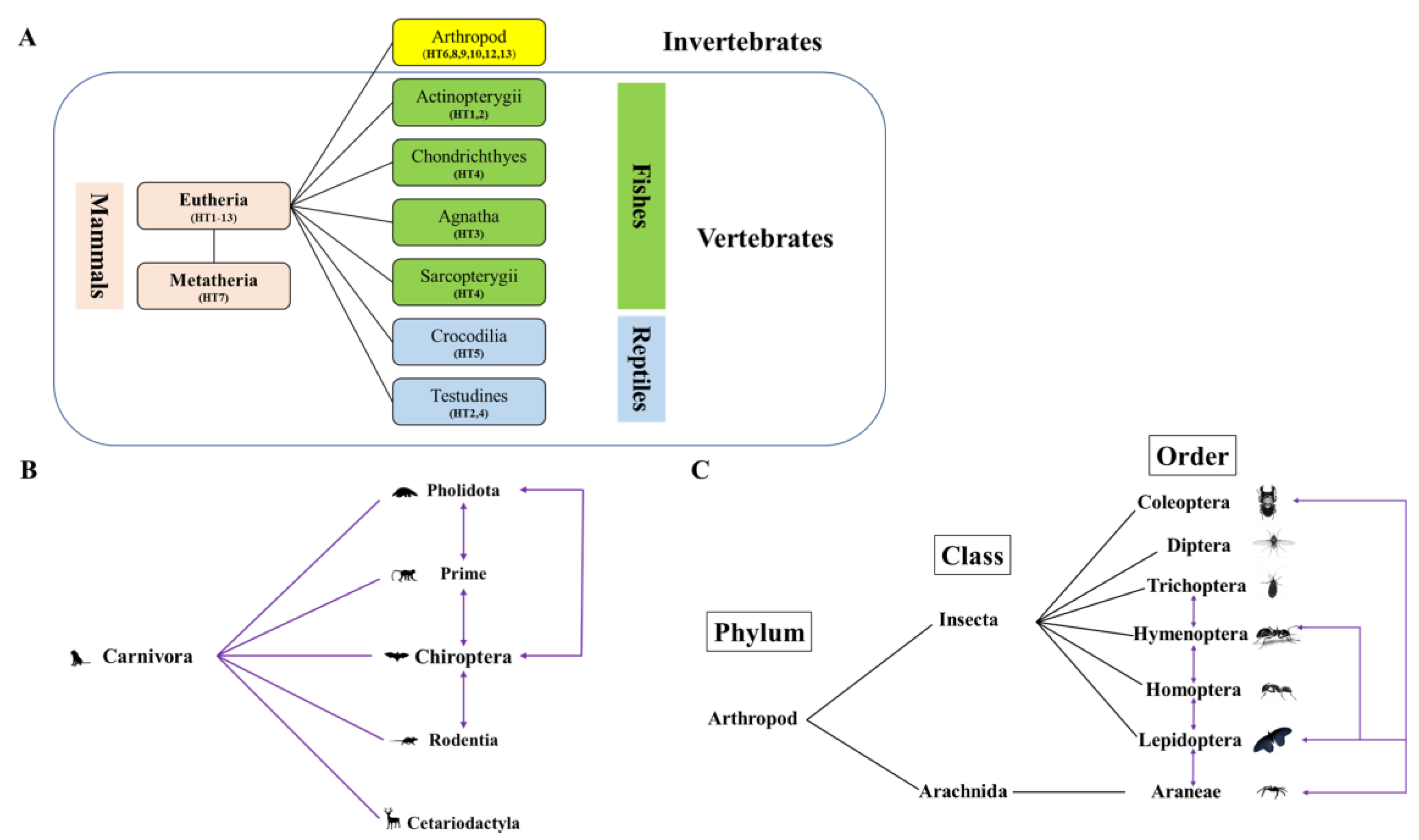 Biology 11 00921 g007 Biology 11 00921 g007
