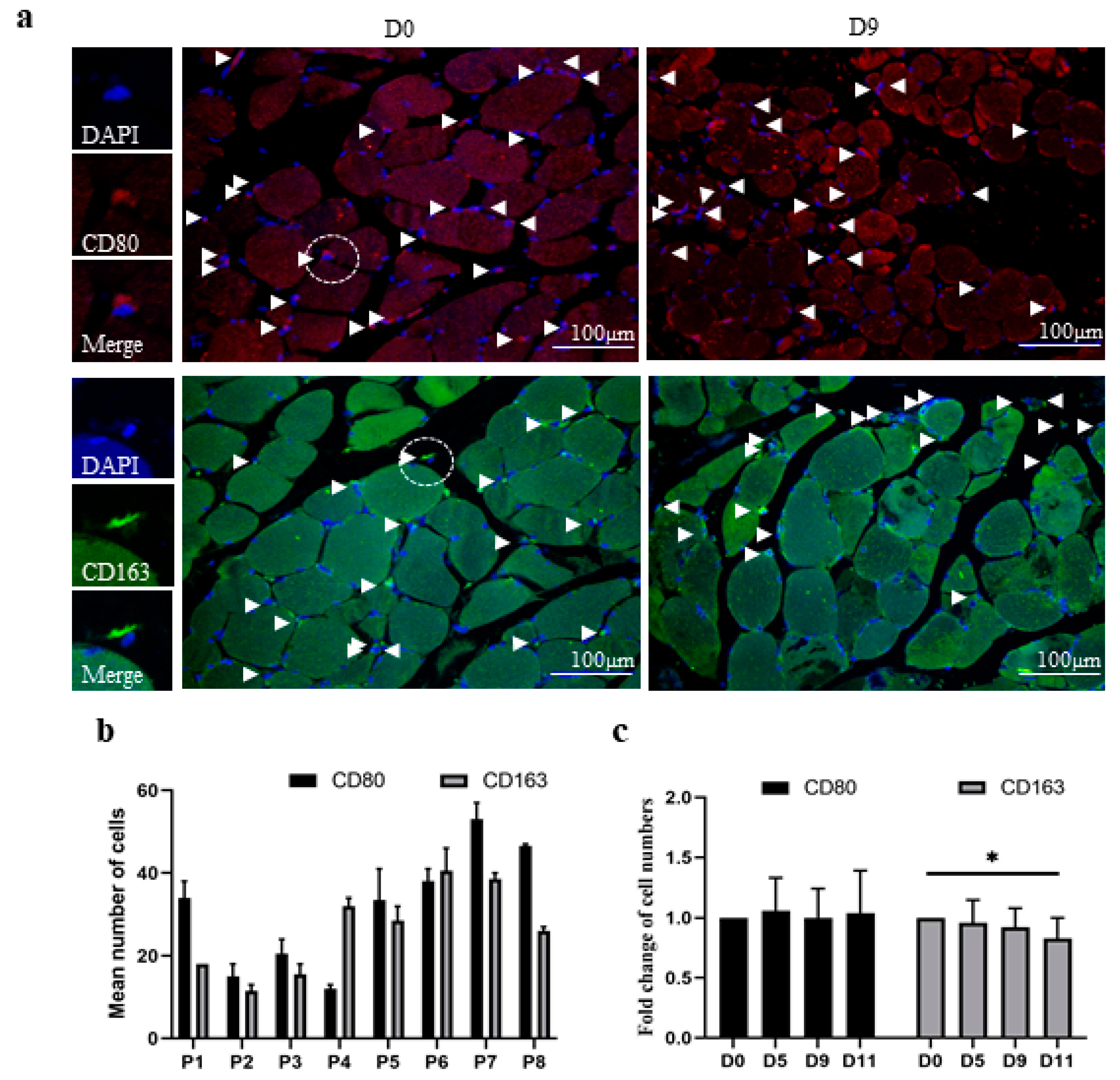 Biology 11 00936 g002