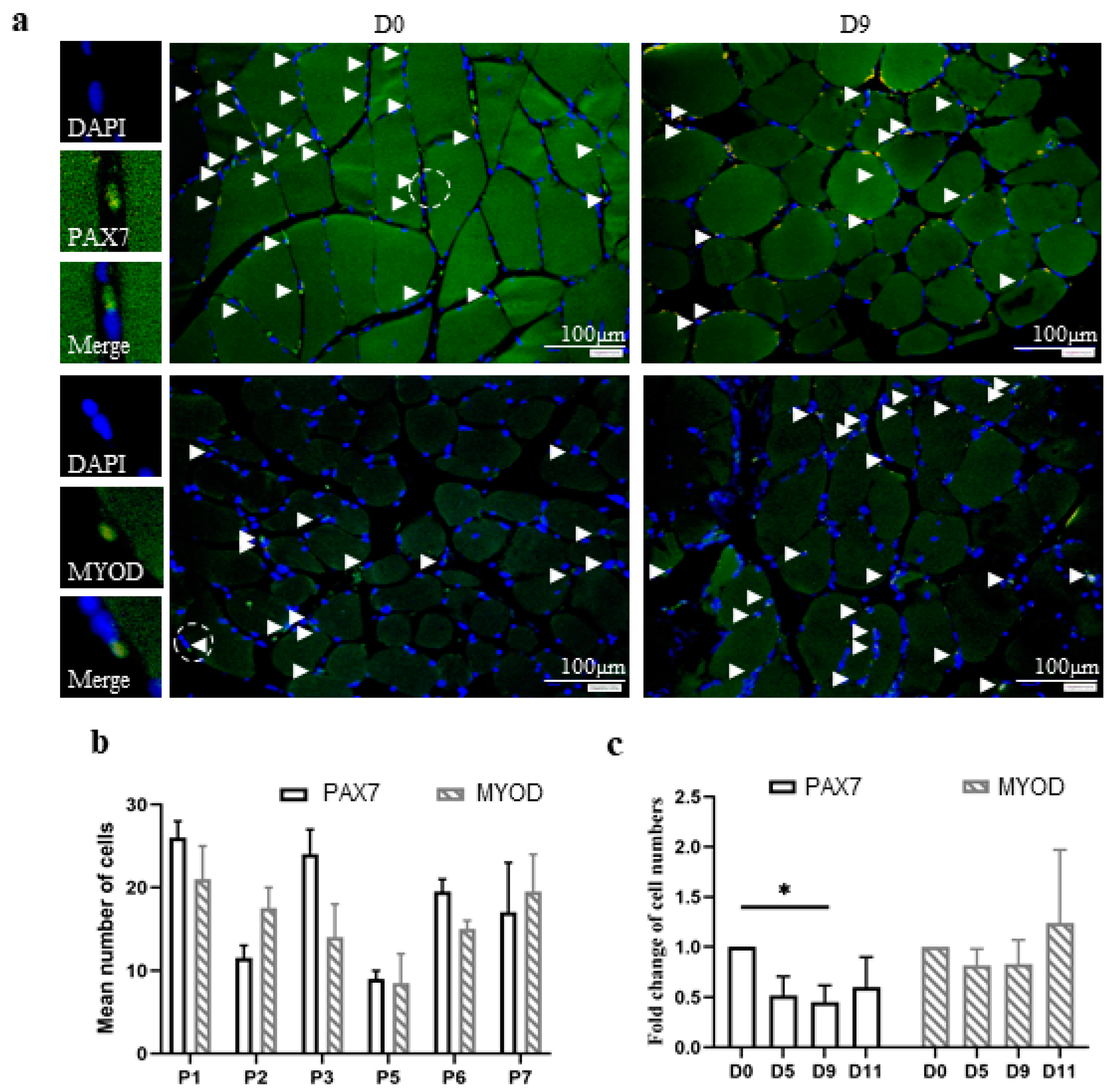 Biology 11 00936 g003