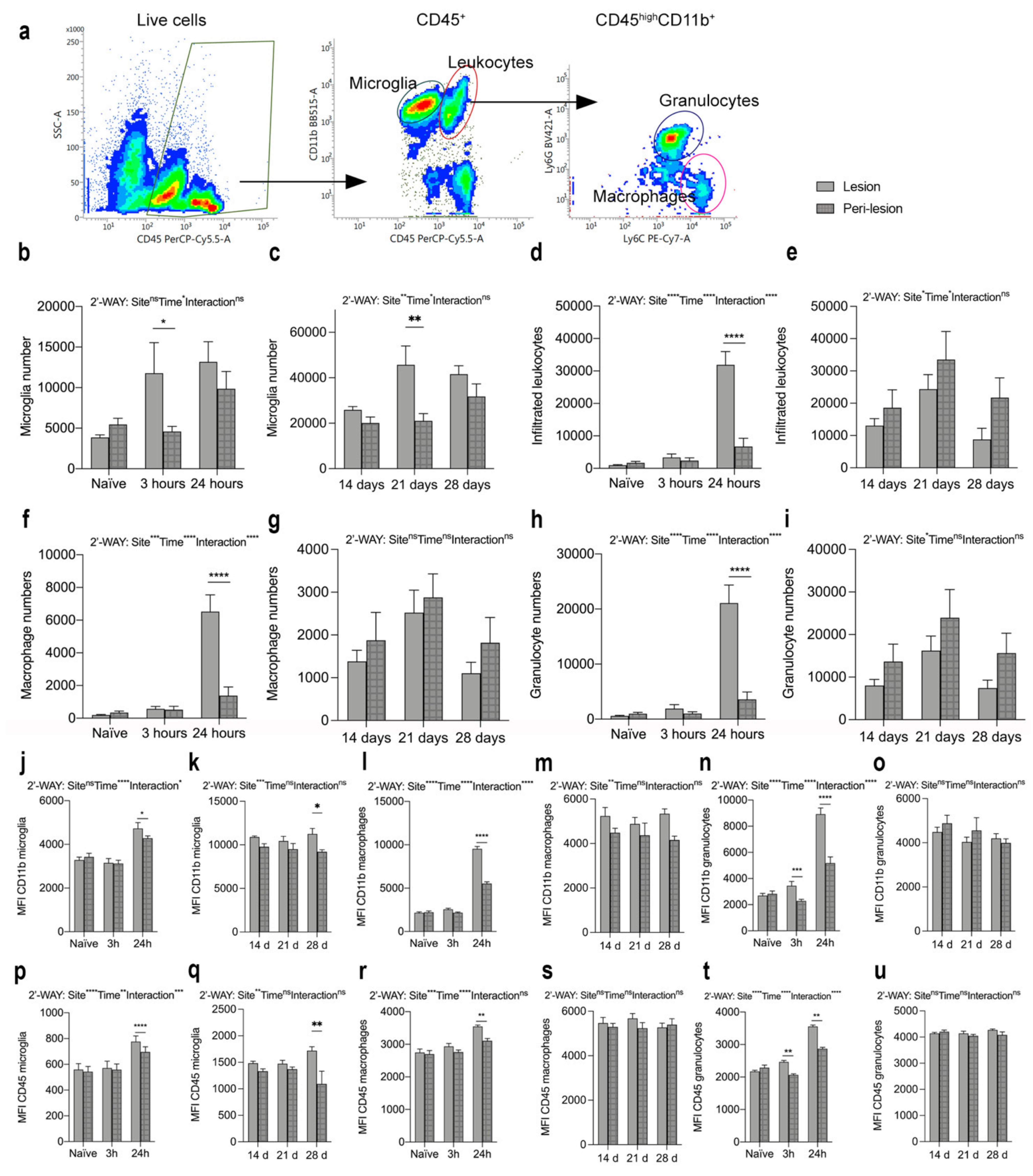 Biology 11 00939 g006