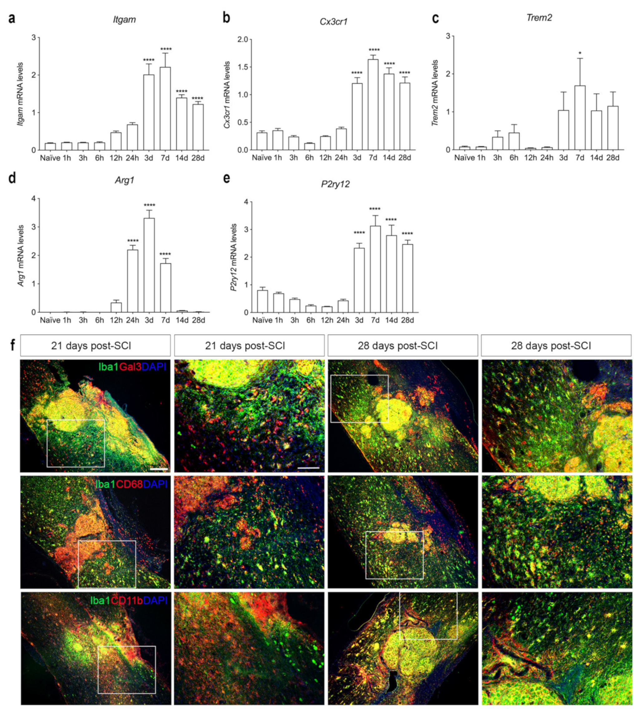 Biology 11 00939 g007