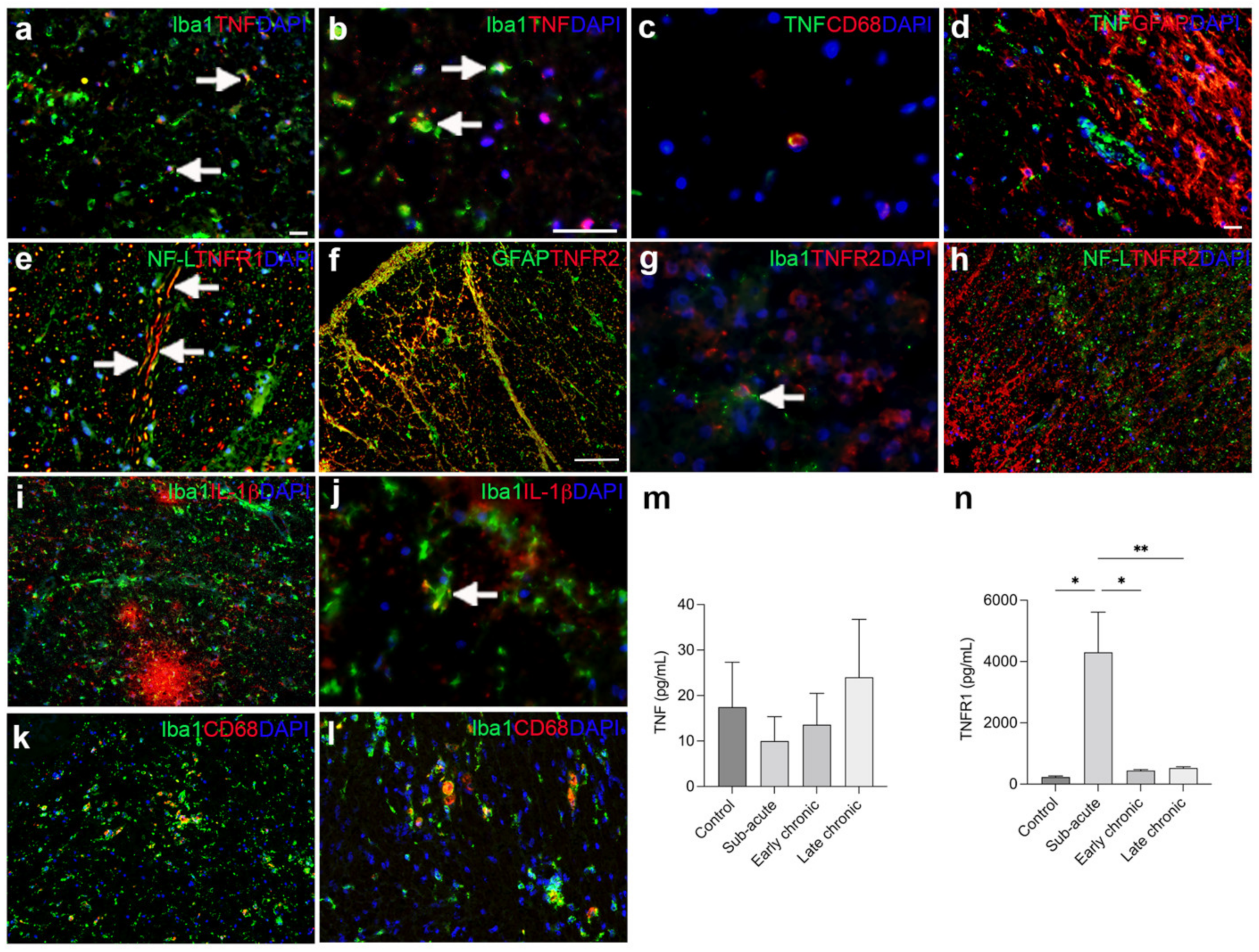 Biology 11 00939 g008
