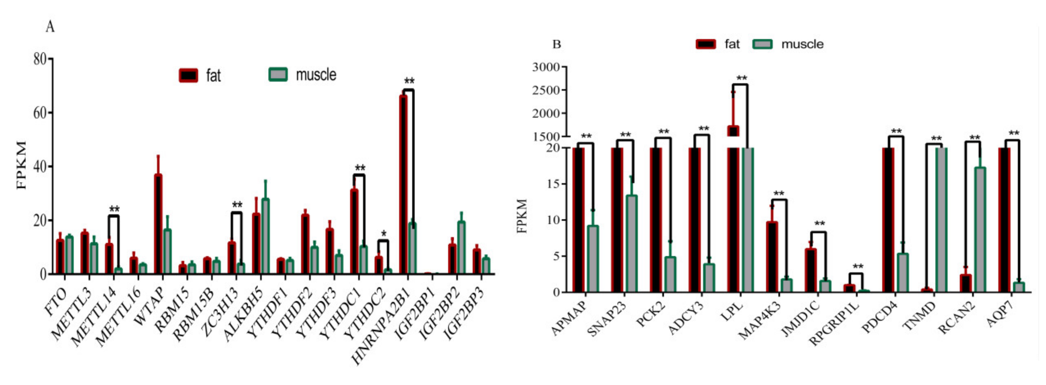 Biology 11 00944 g004