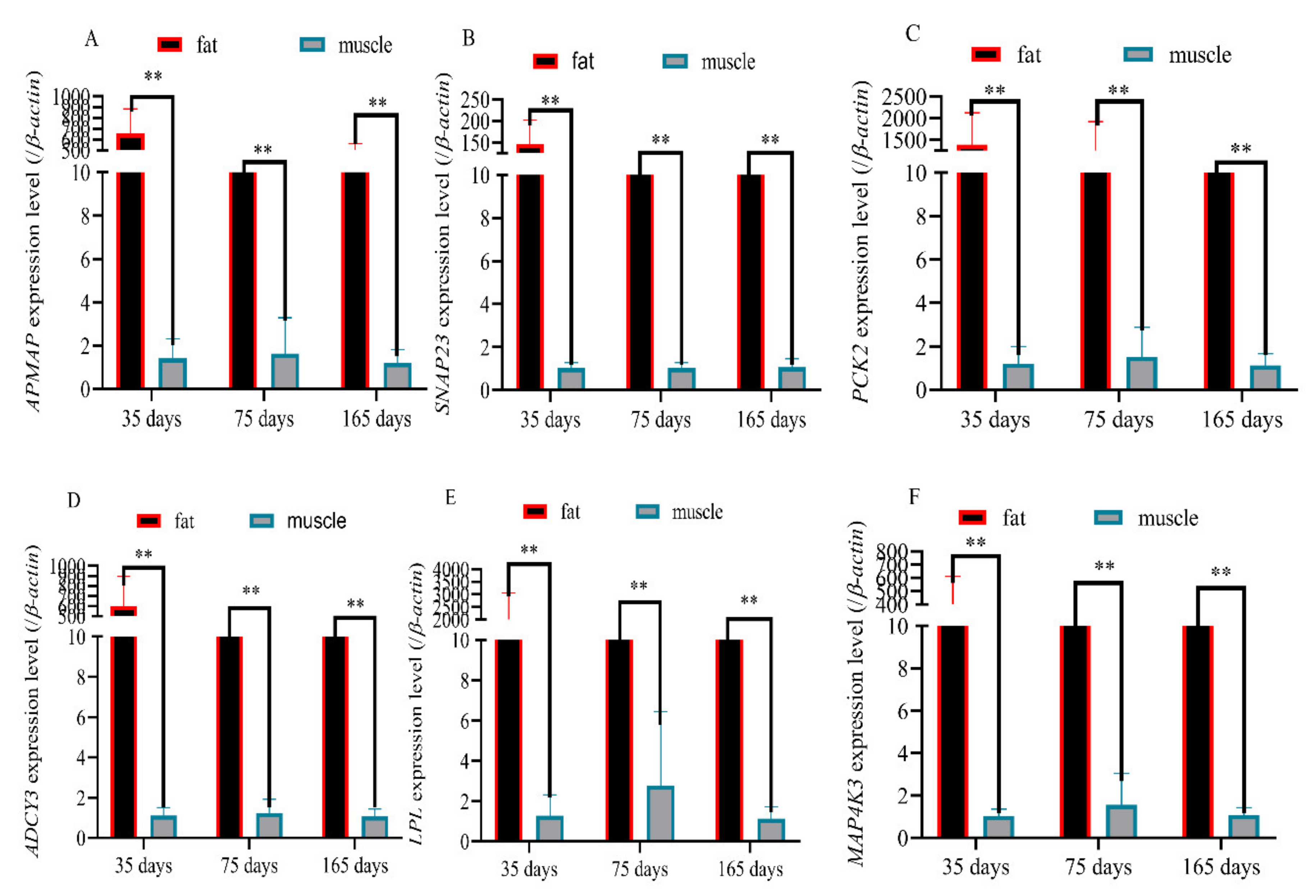 Biology 11 00944 g005