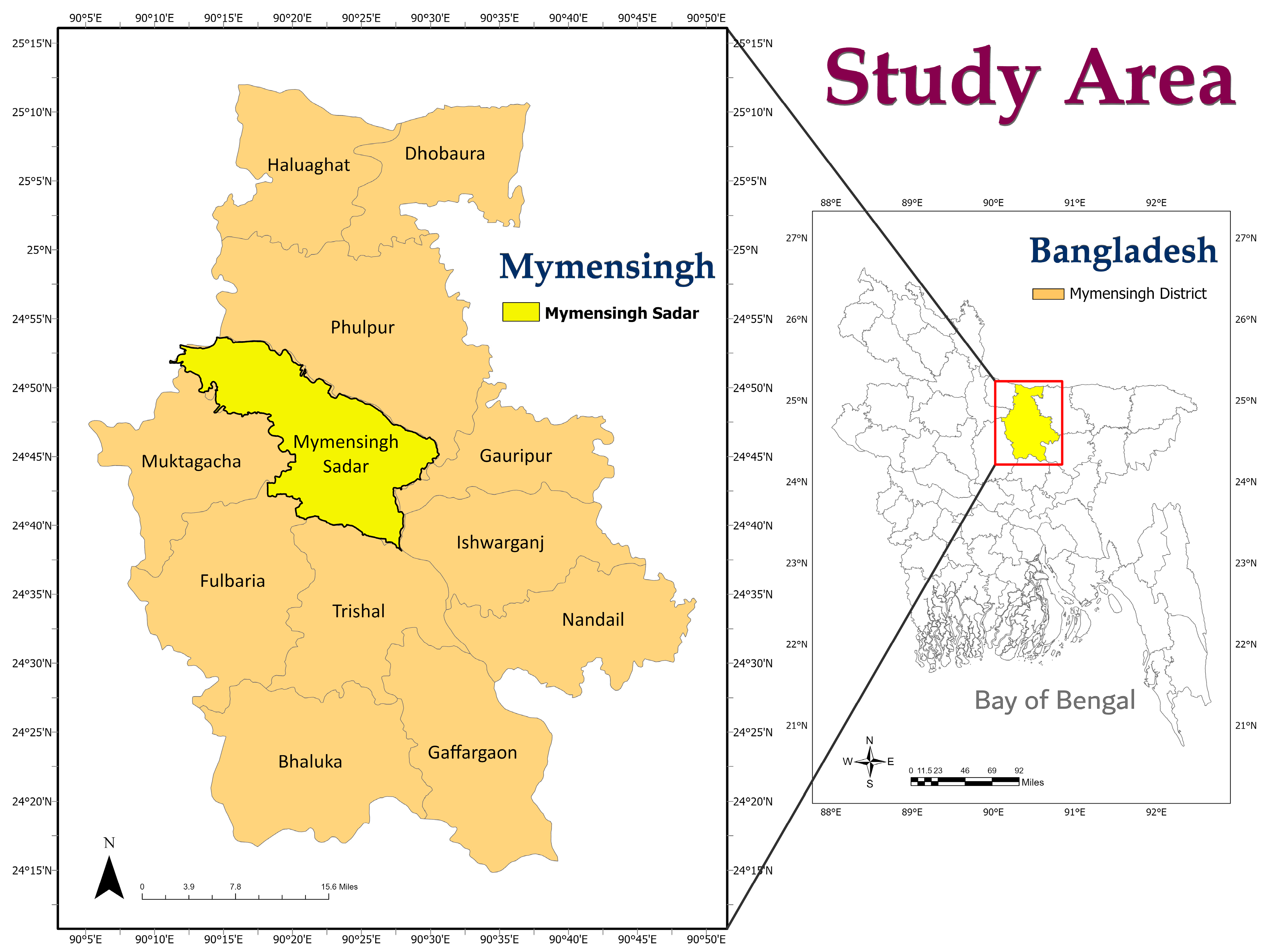 Biology 11 00949 g001