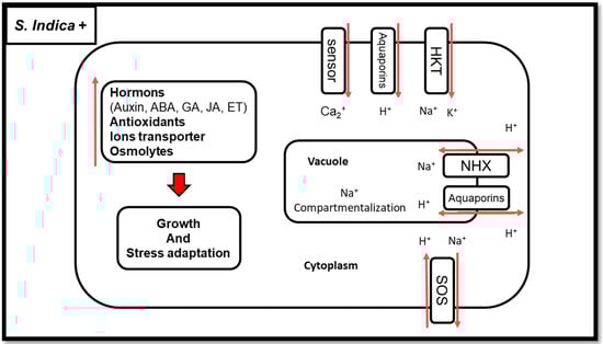 Biology 11 00952 g003 550