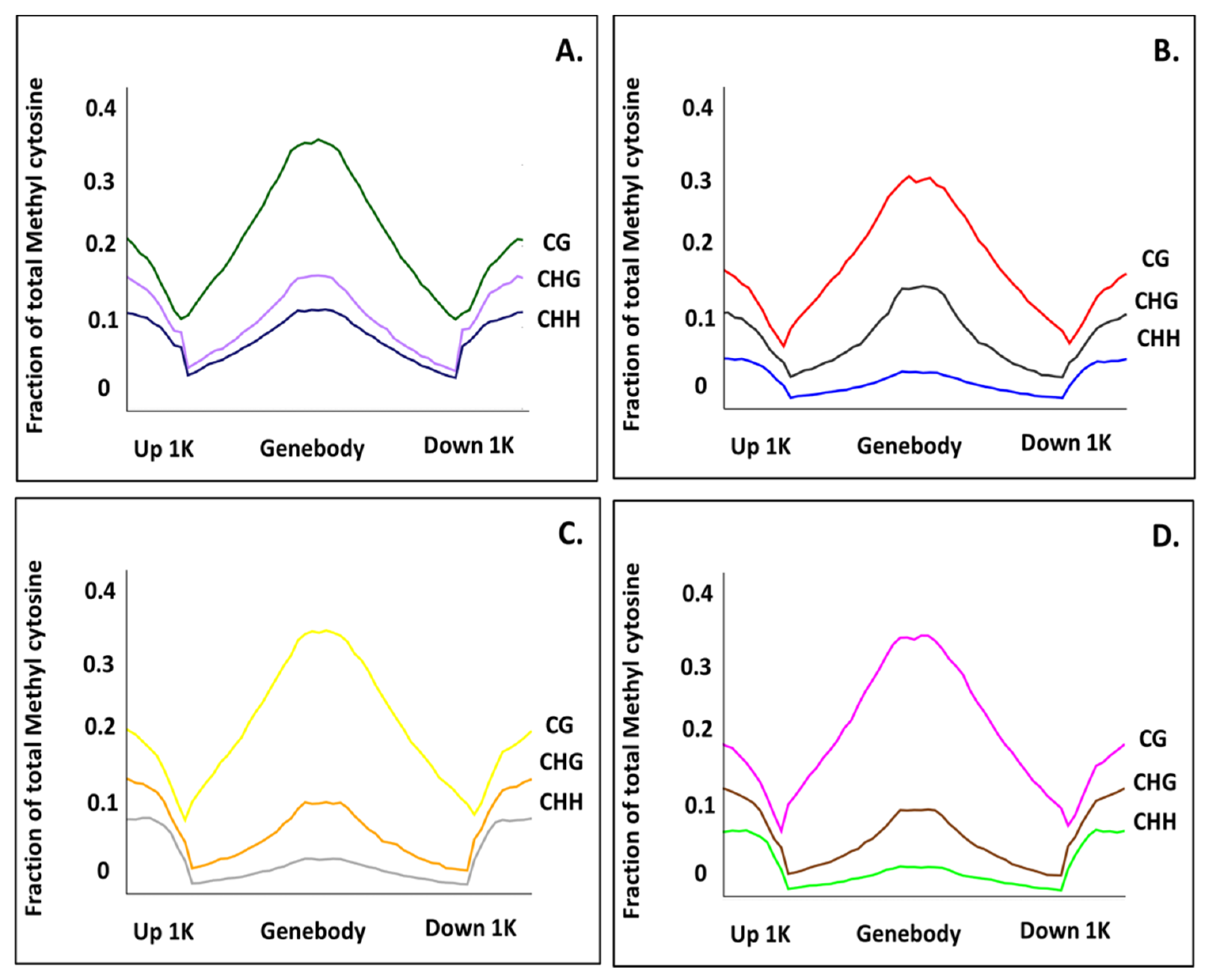 Biology 11 00954 g004