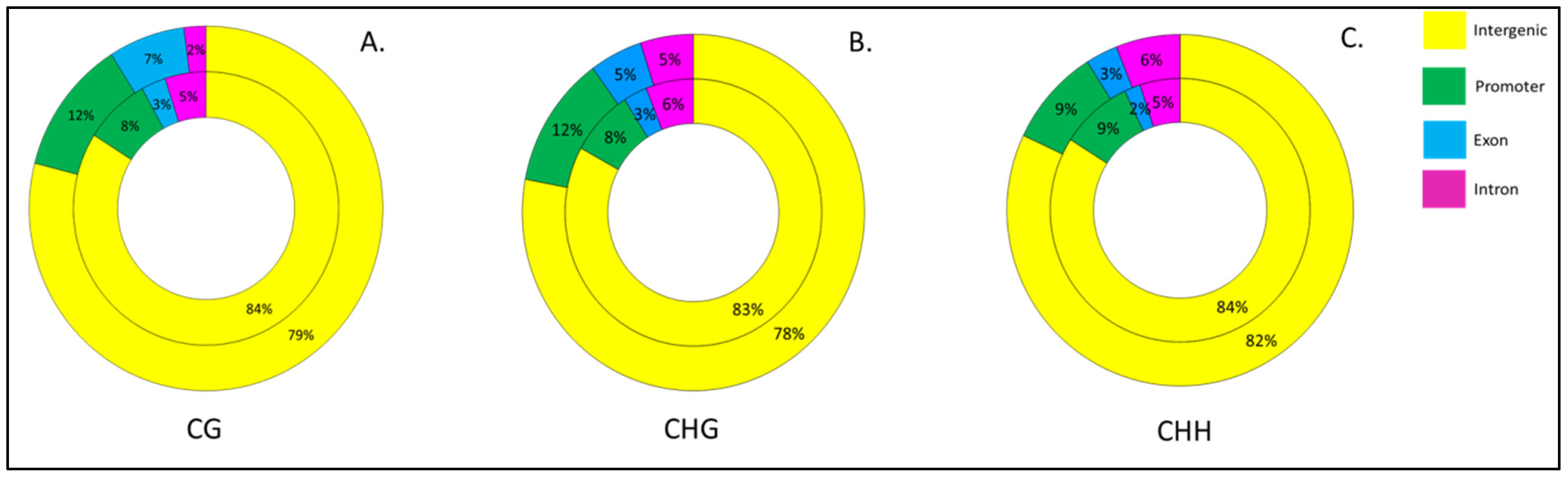 Biology 11 00954 g006