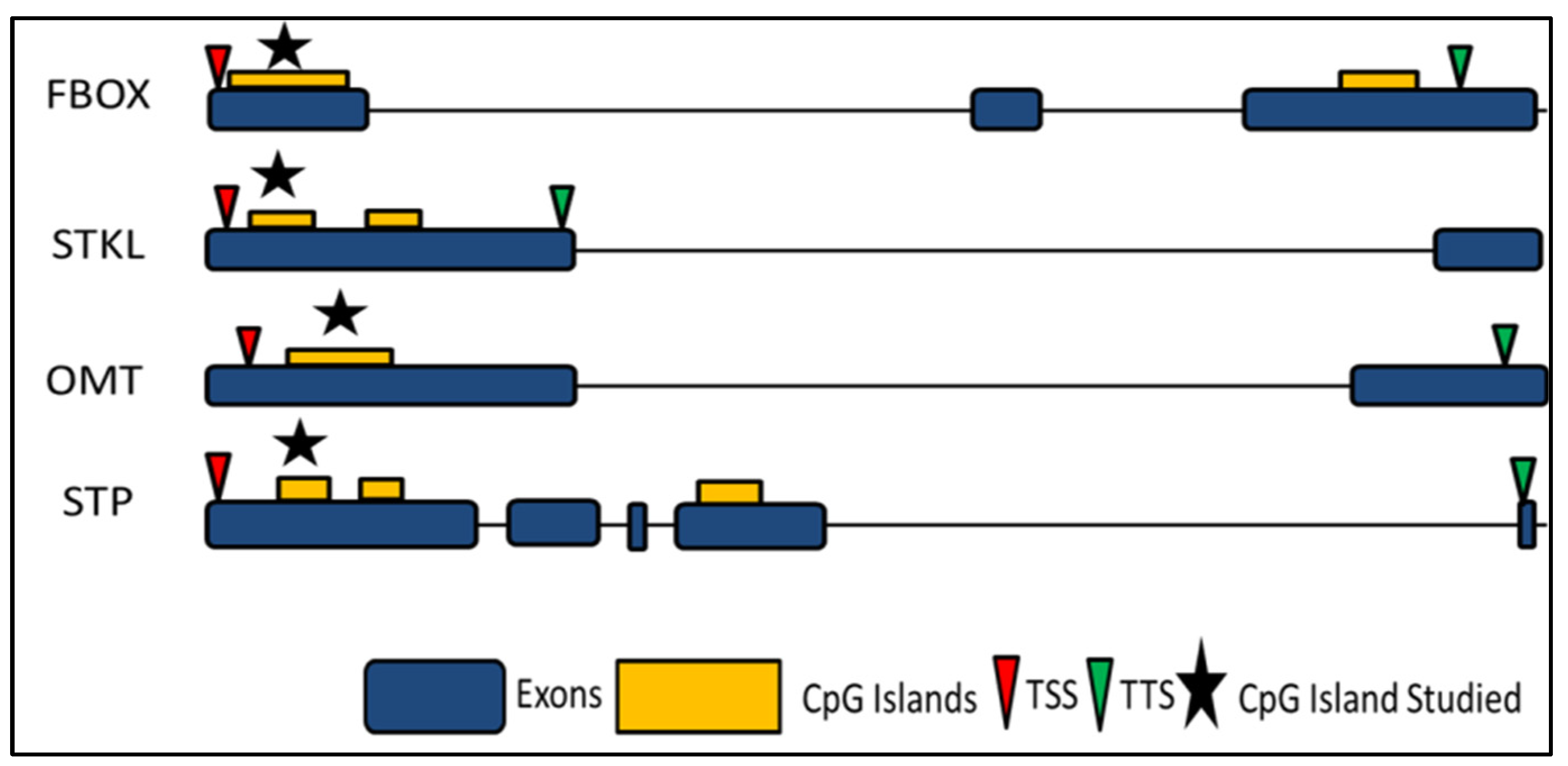 Biology 11 00954 g009