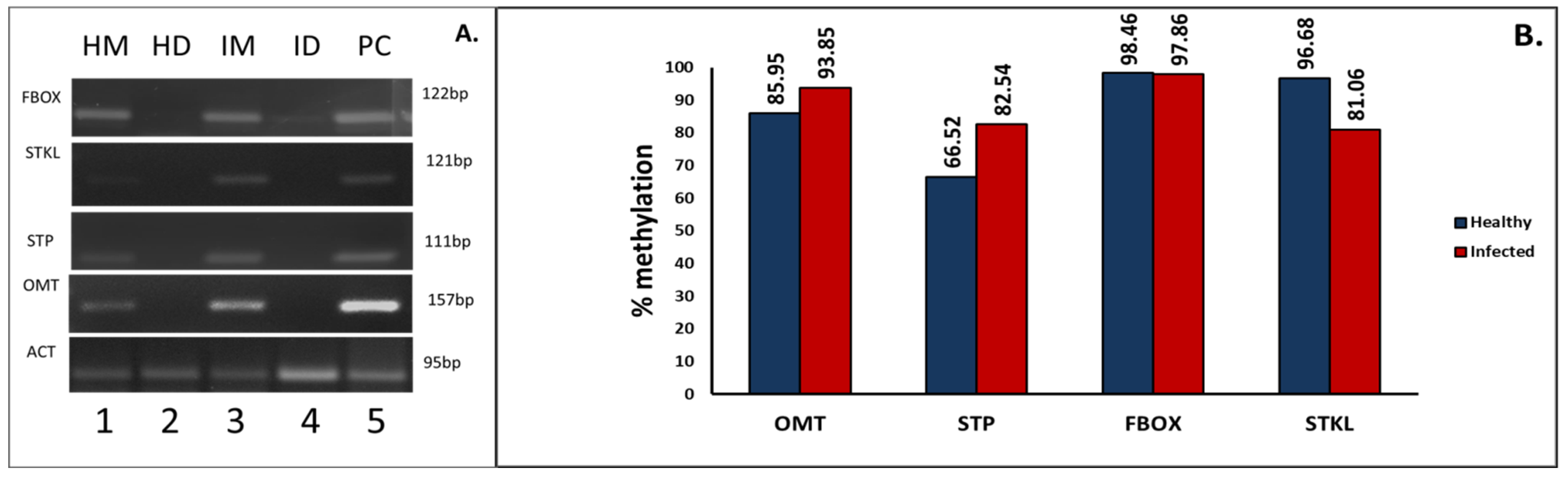 Biology 11 00954 g010
