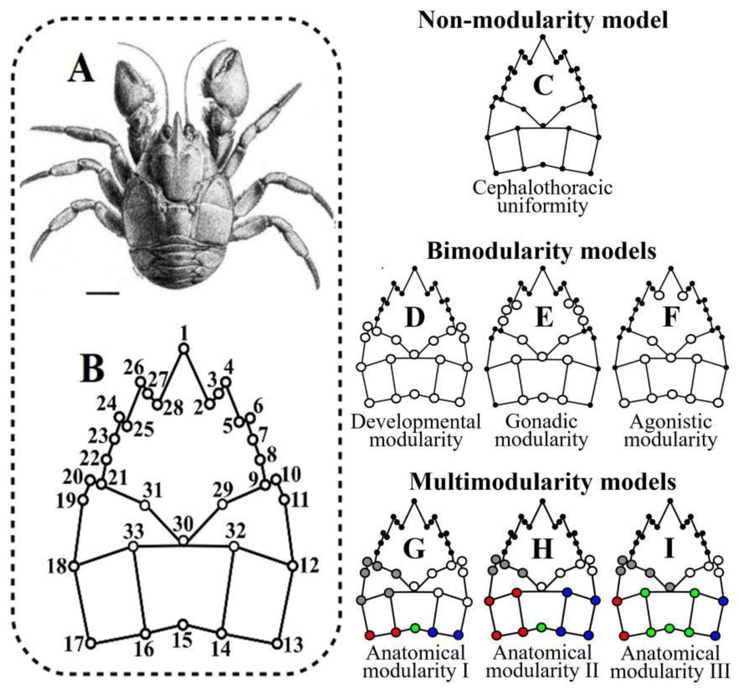 Biology 11 00958 g002