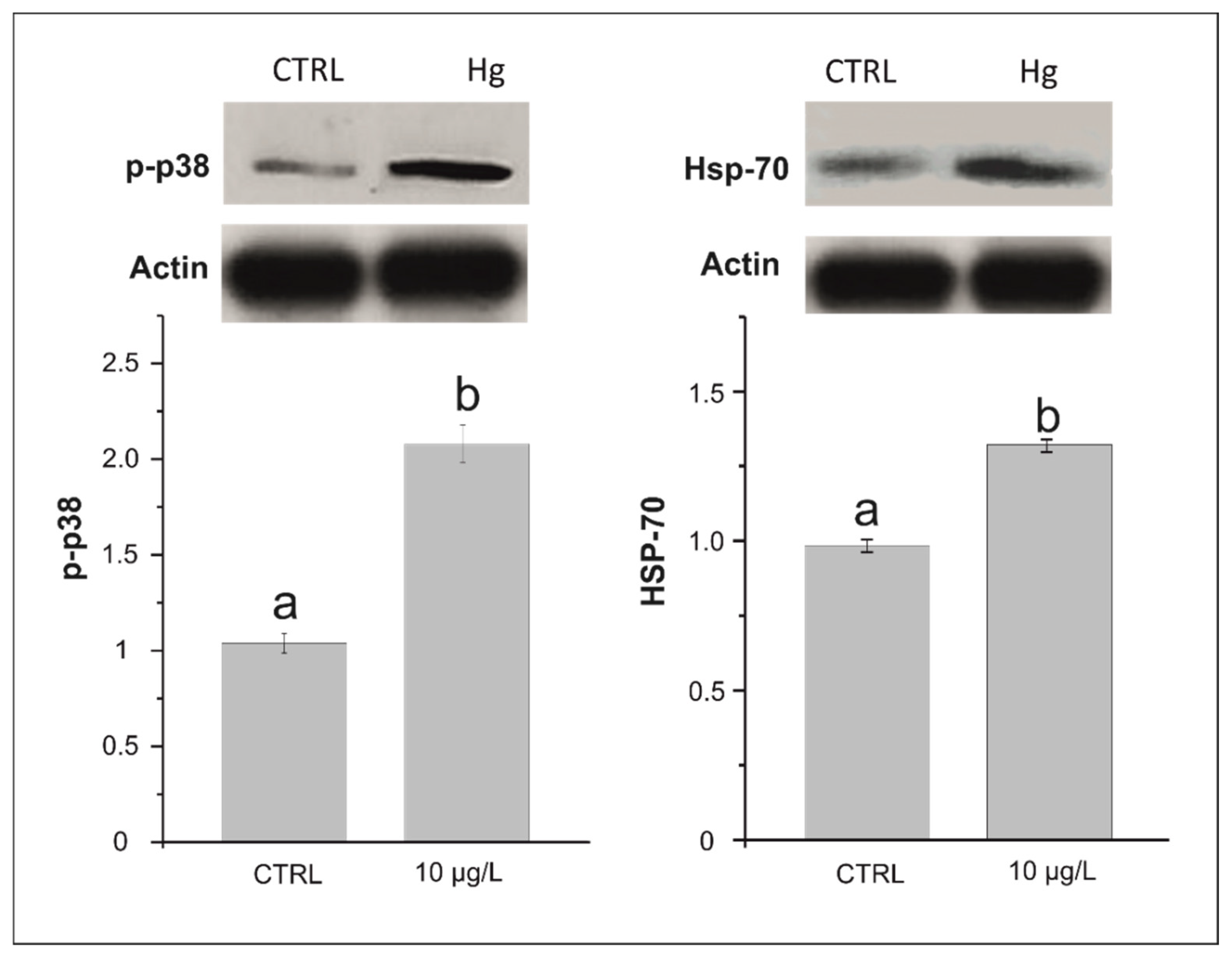 Biology 11 00960 g002