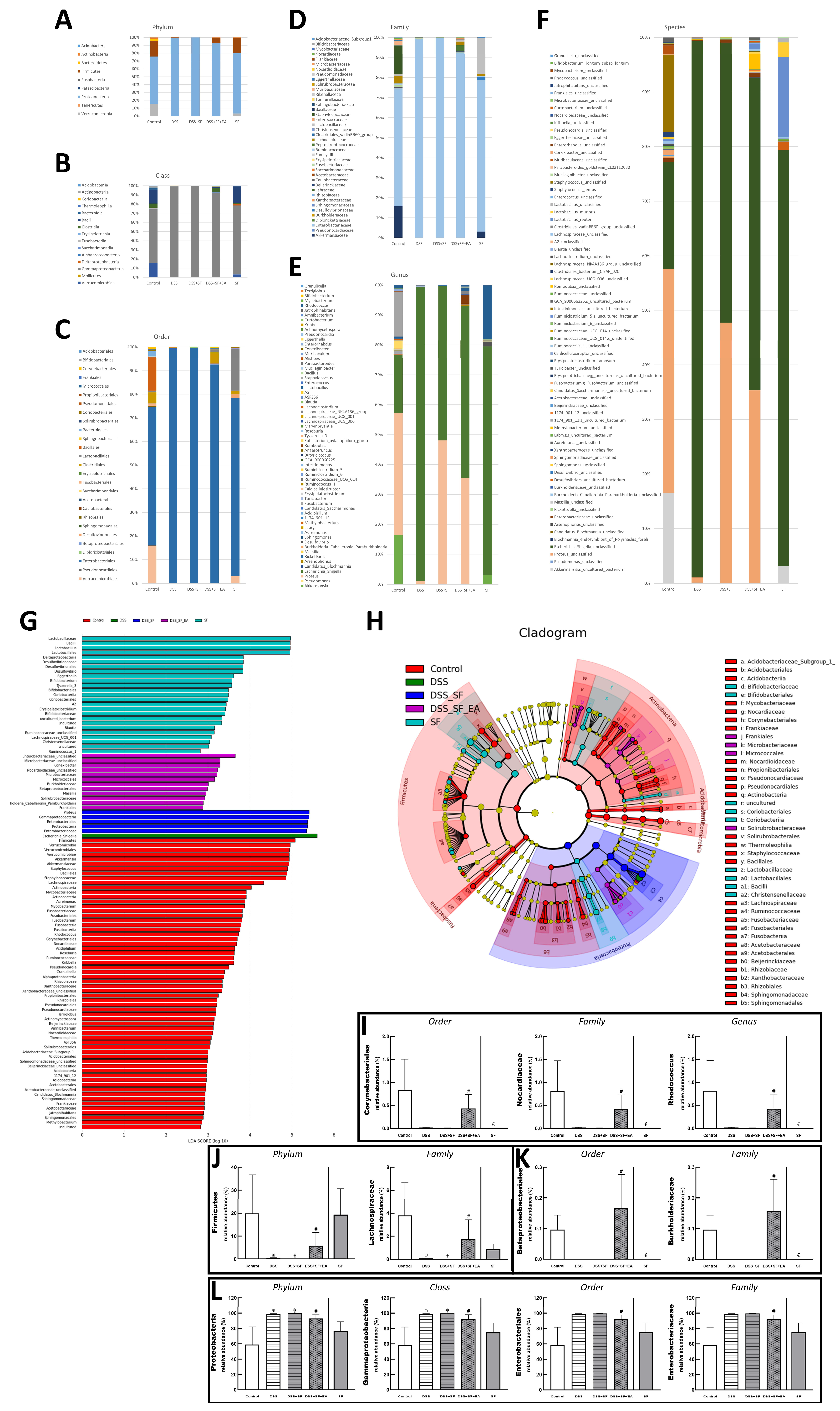 Biology 11 00962 g006
