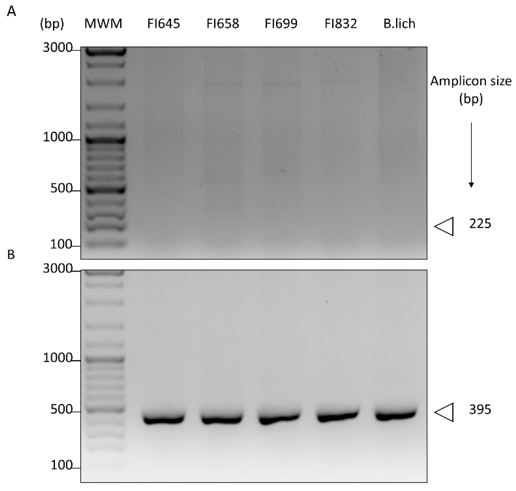 Biology 11 00964 g004