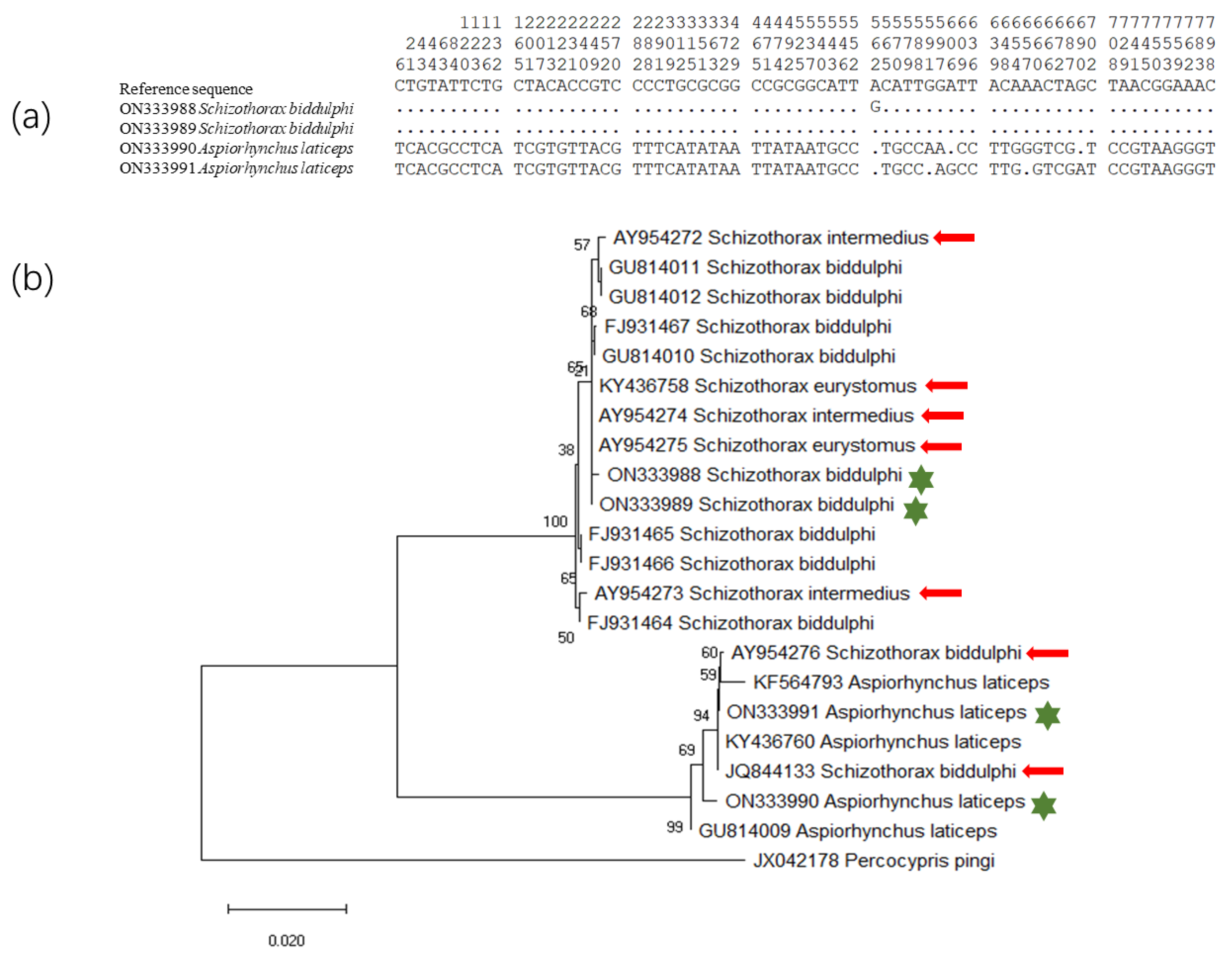 Biology 11 00981 g003