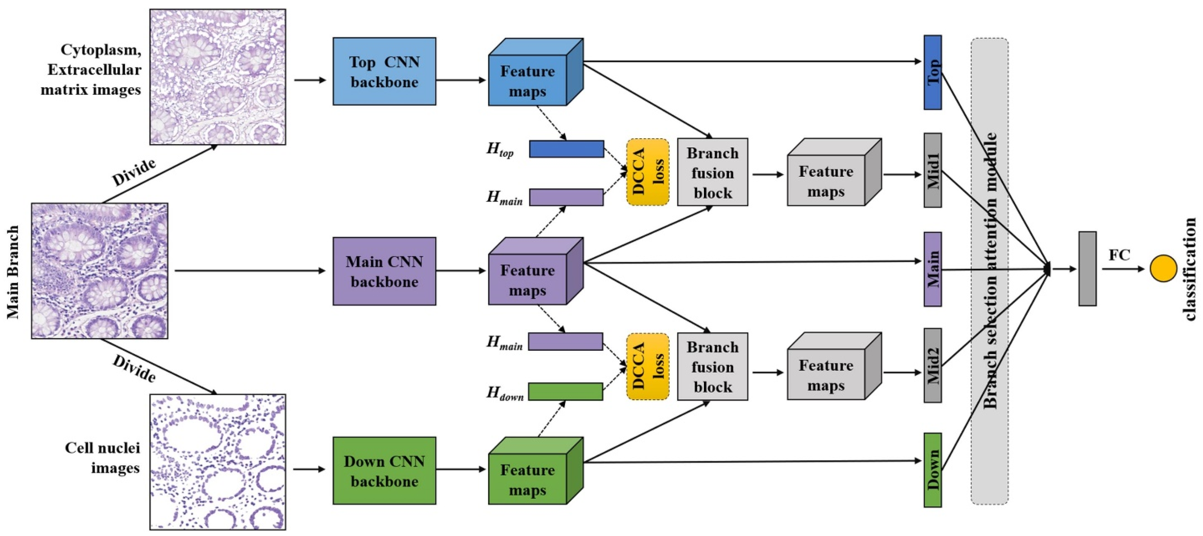 Biology 11 00982 g002