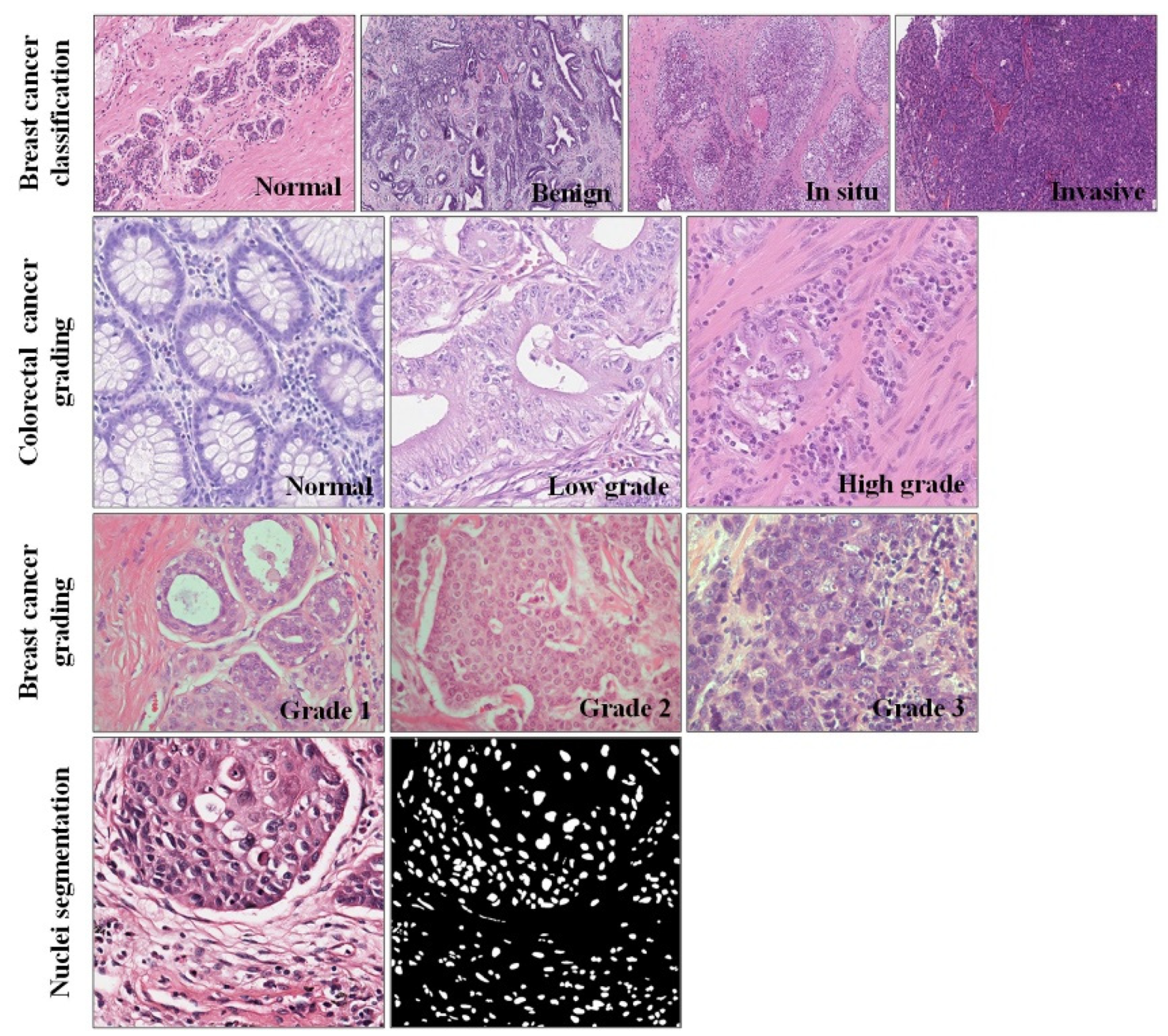 Biology 11 00982 g004