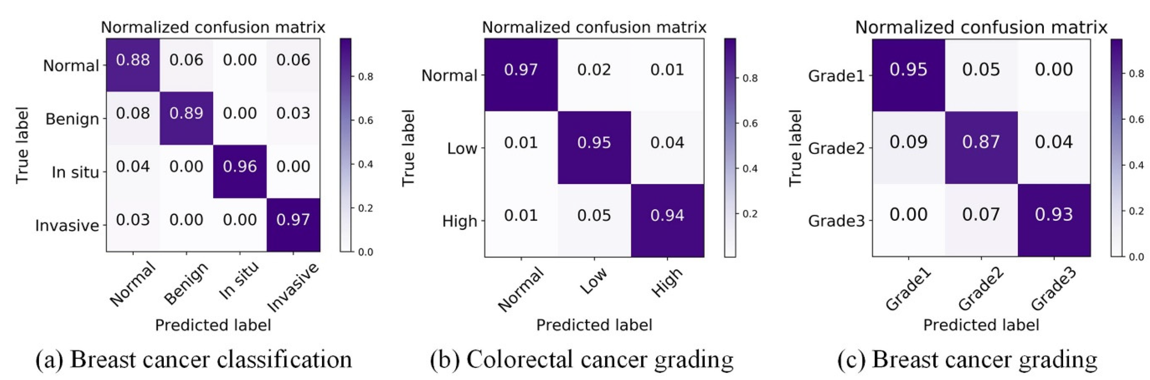 Biology 11 00982 g005