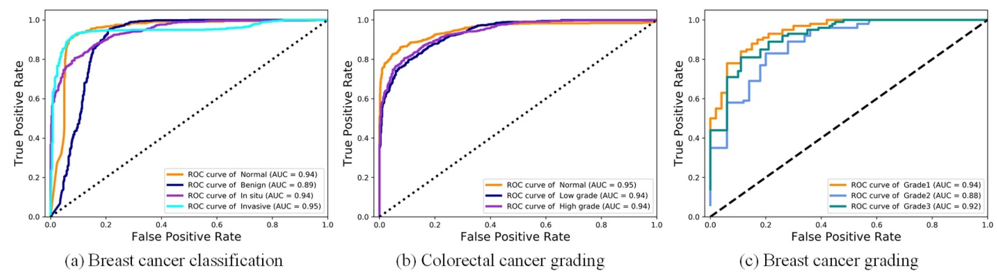 Biology 11 00982 g006