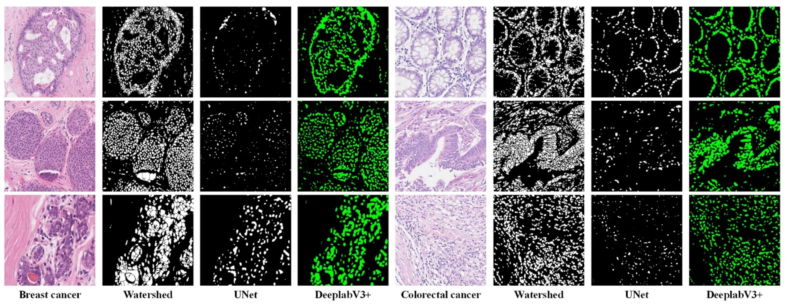Biology 11 00982 g007