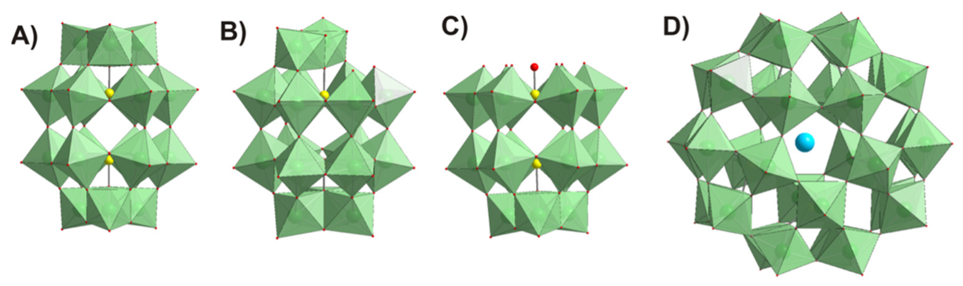Biology 11 00994 g001