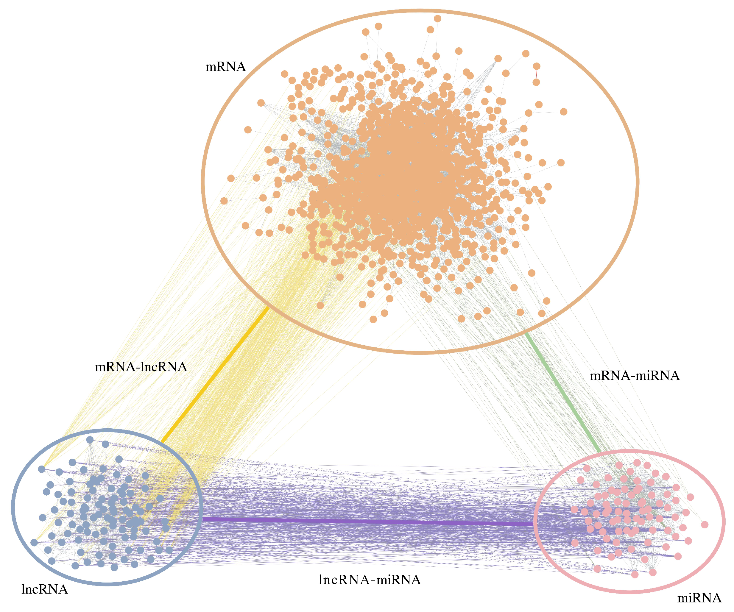 Biology 11 01003 g002