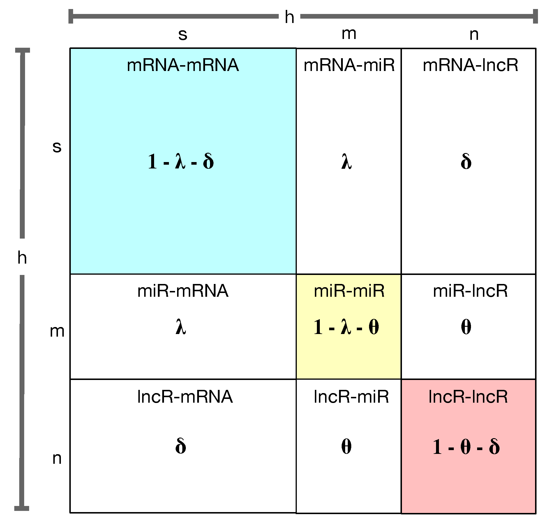 Biology 11 01003 g003