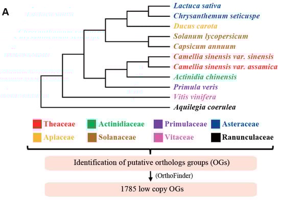 Biology 11 01007 g001a