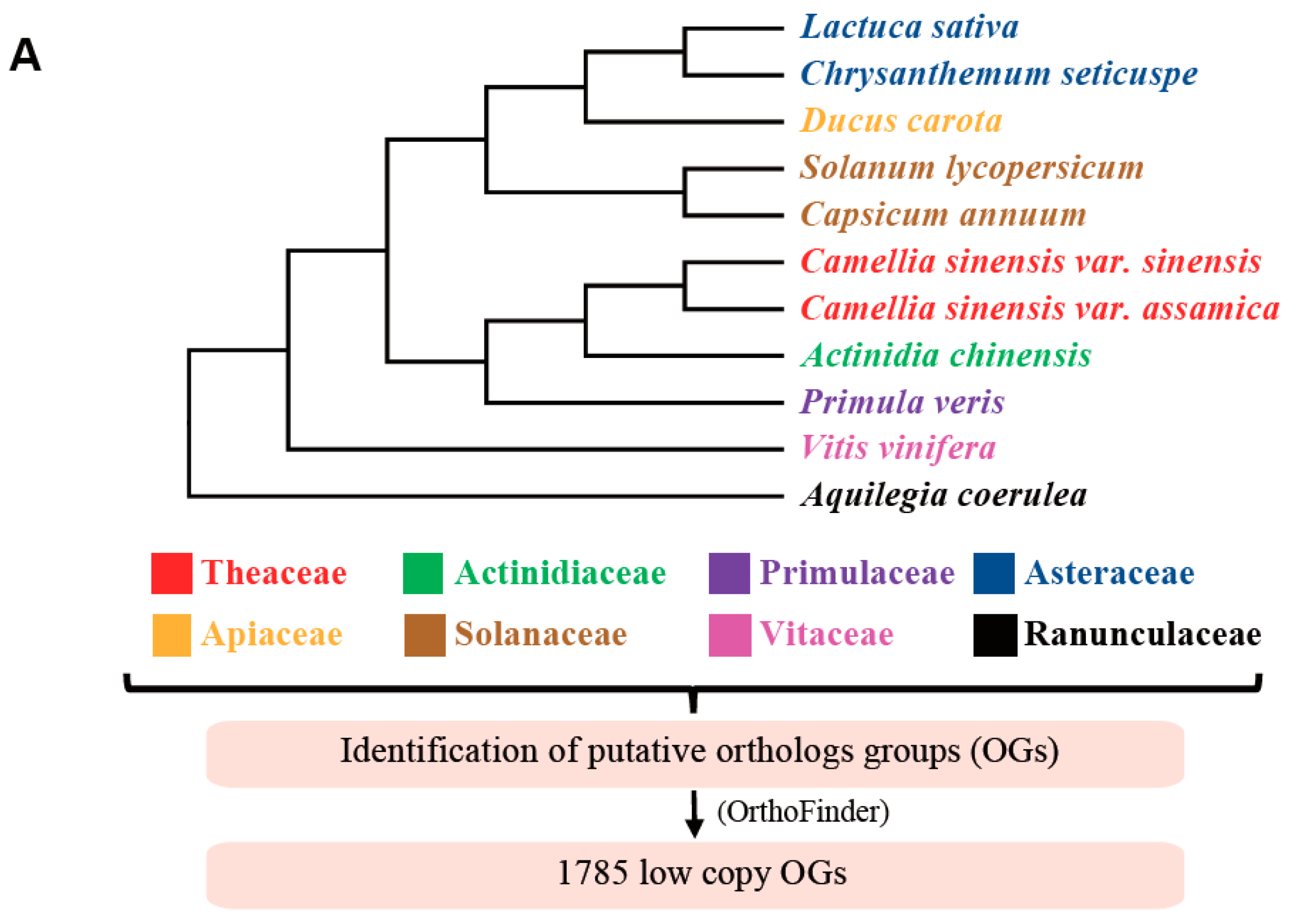 Biology 11 01007 g001a