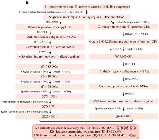 Biology 11 01007 g001b