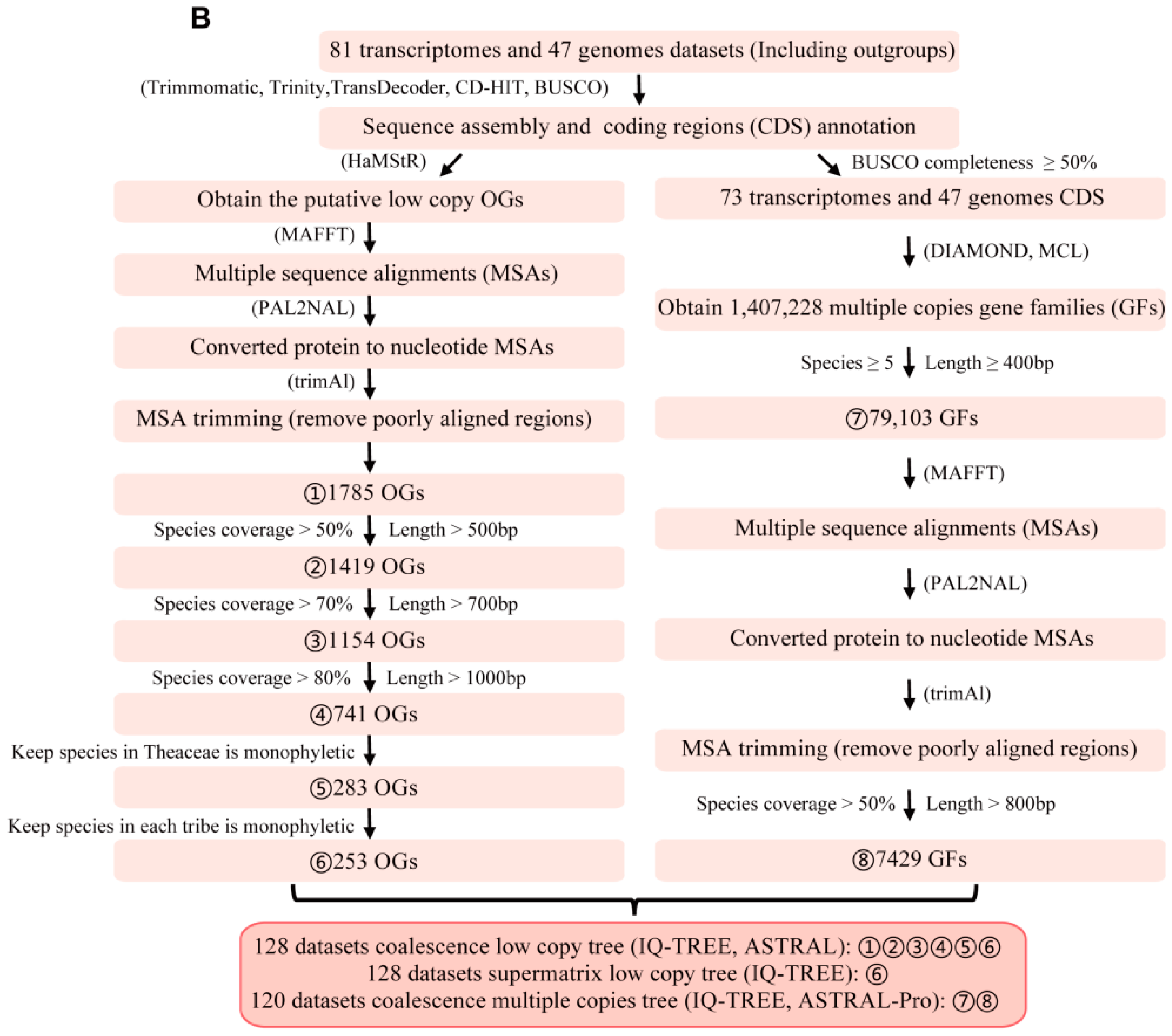 Biology 11 01007 g001b