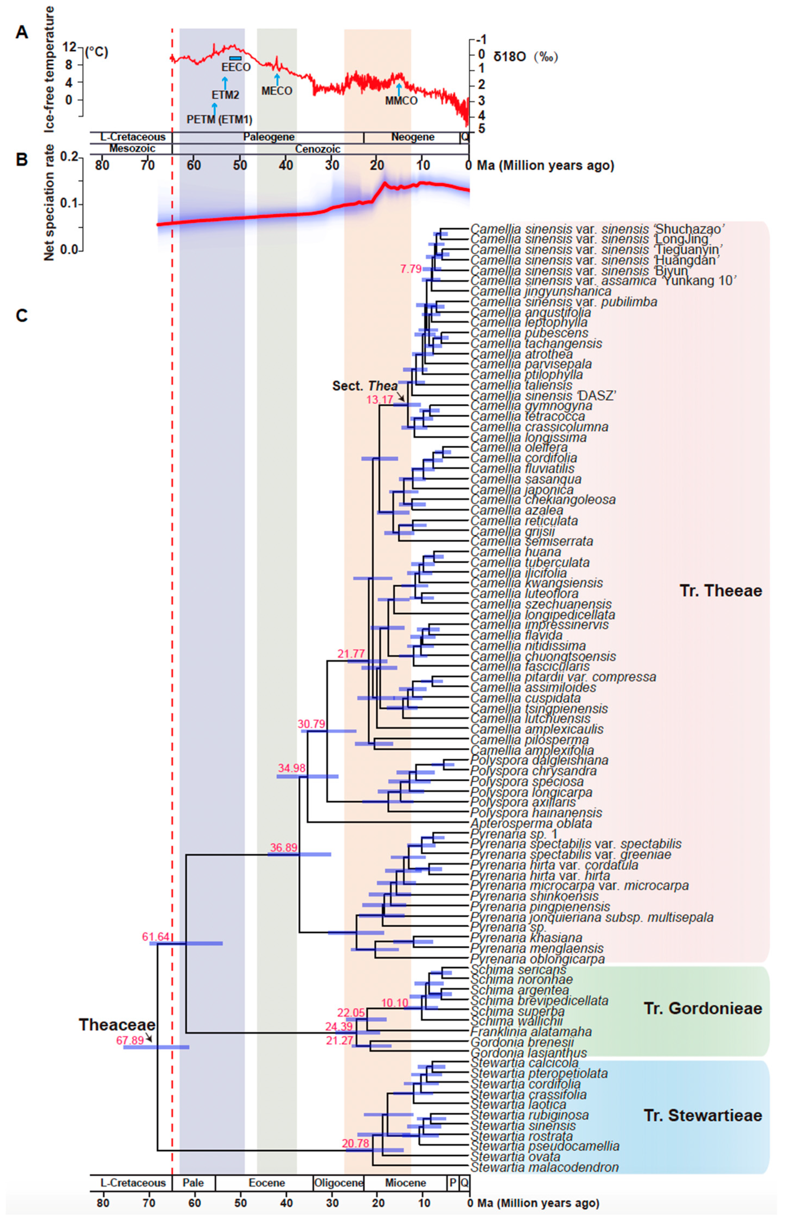 Biology 11 01007 g006
