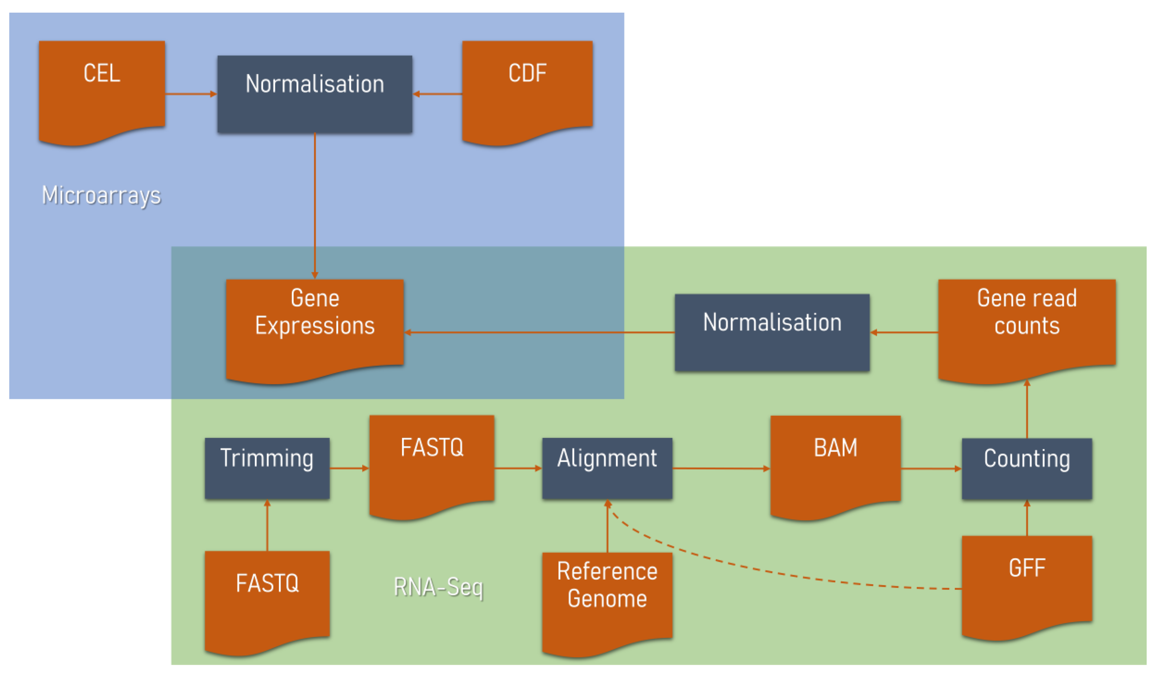 Biology 11 01019 g001