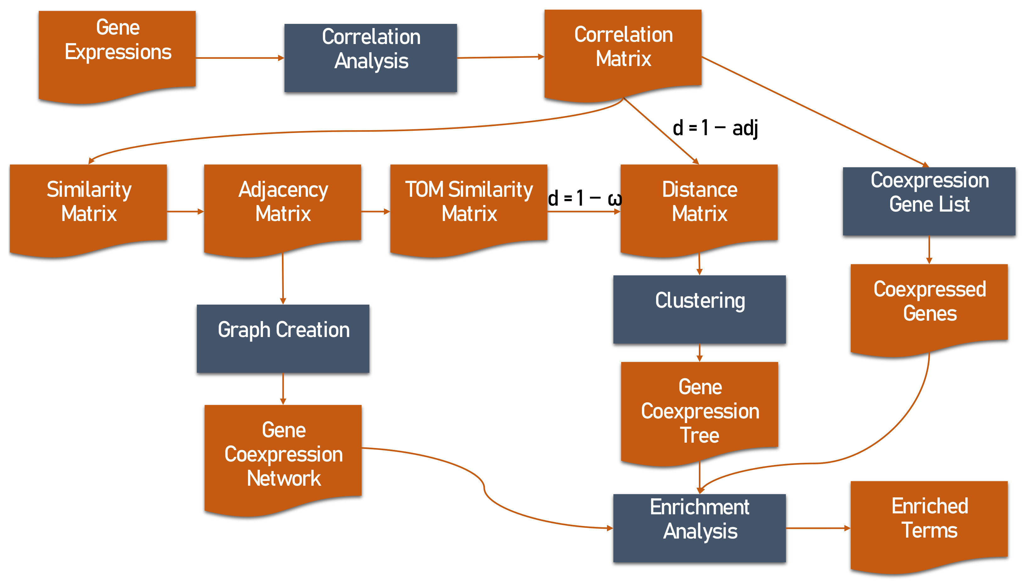 Biology 11 01019 g002