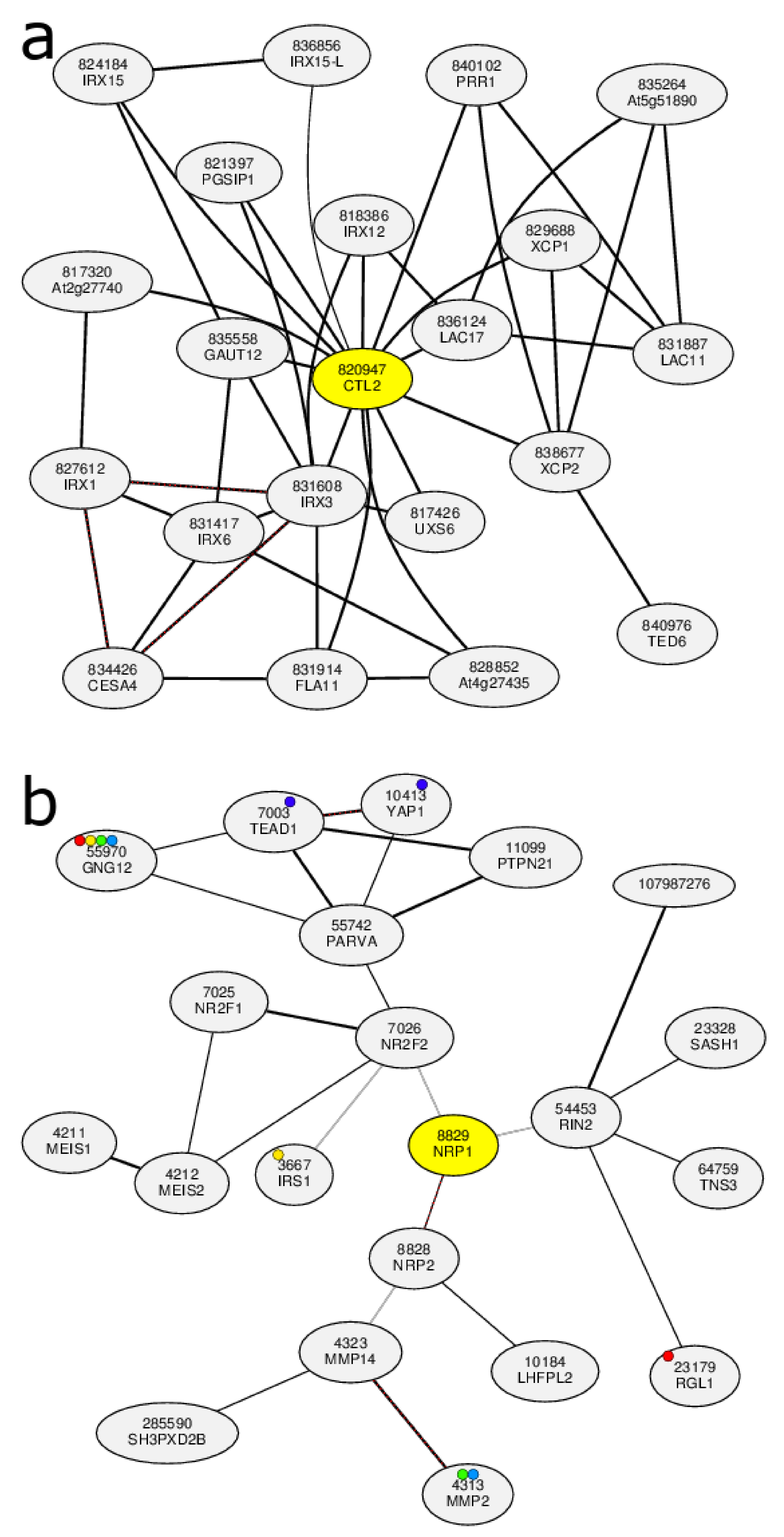 Biology 11 01019 g003